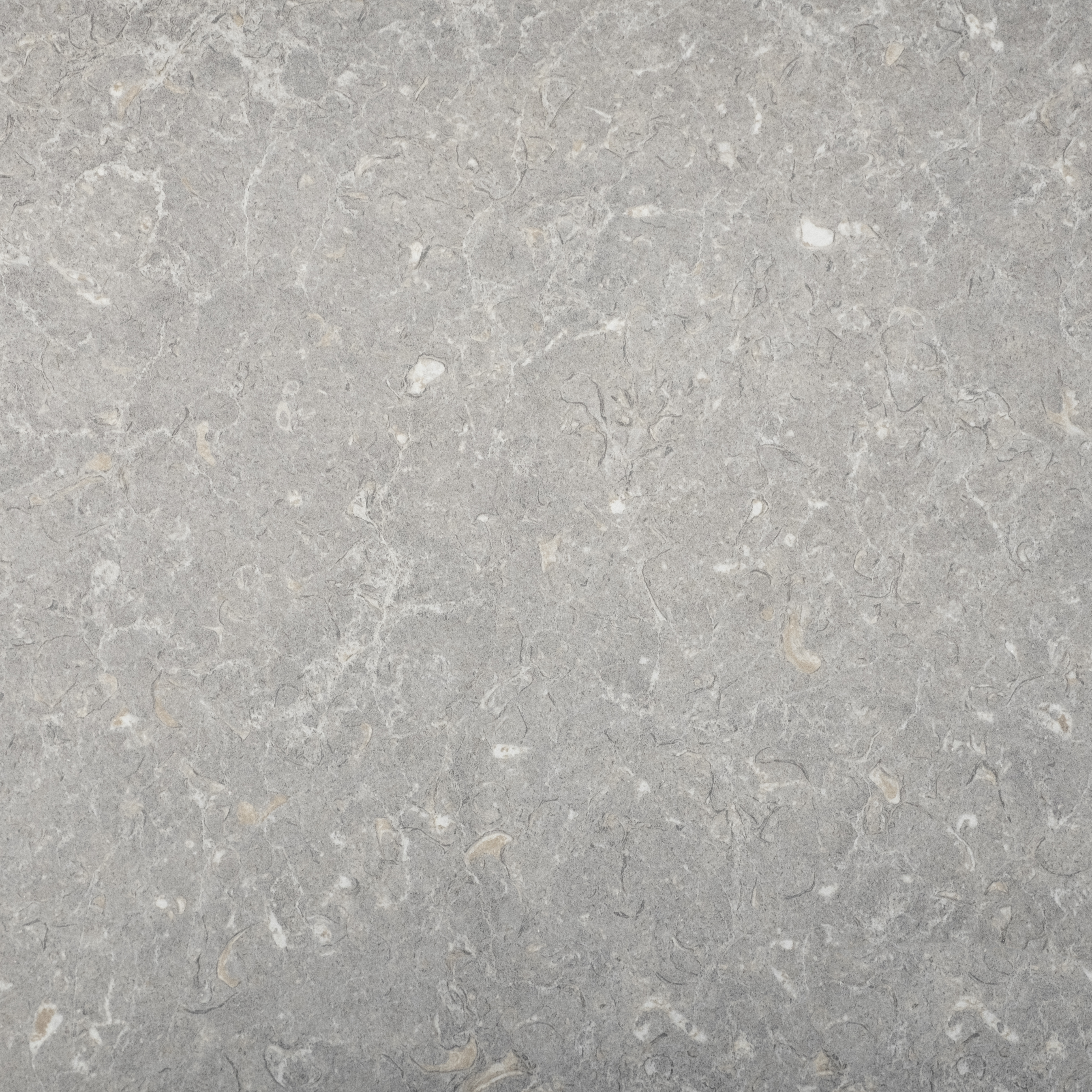 Arpa - 3515 Light Shell