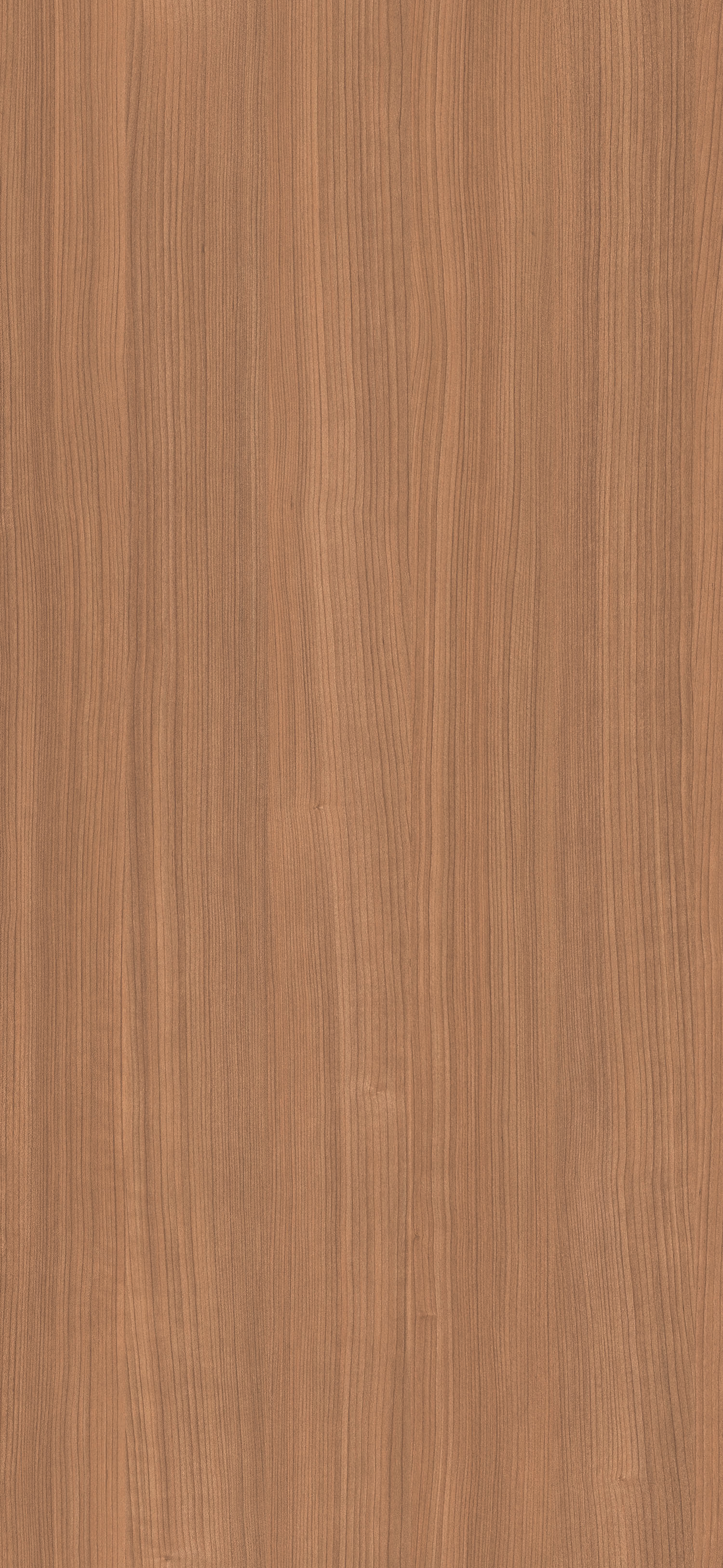 Arpa - 4649 Ciliegio Bulot