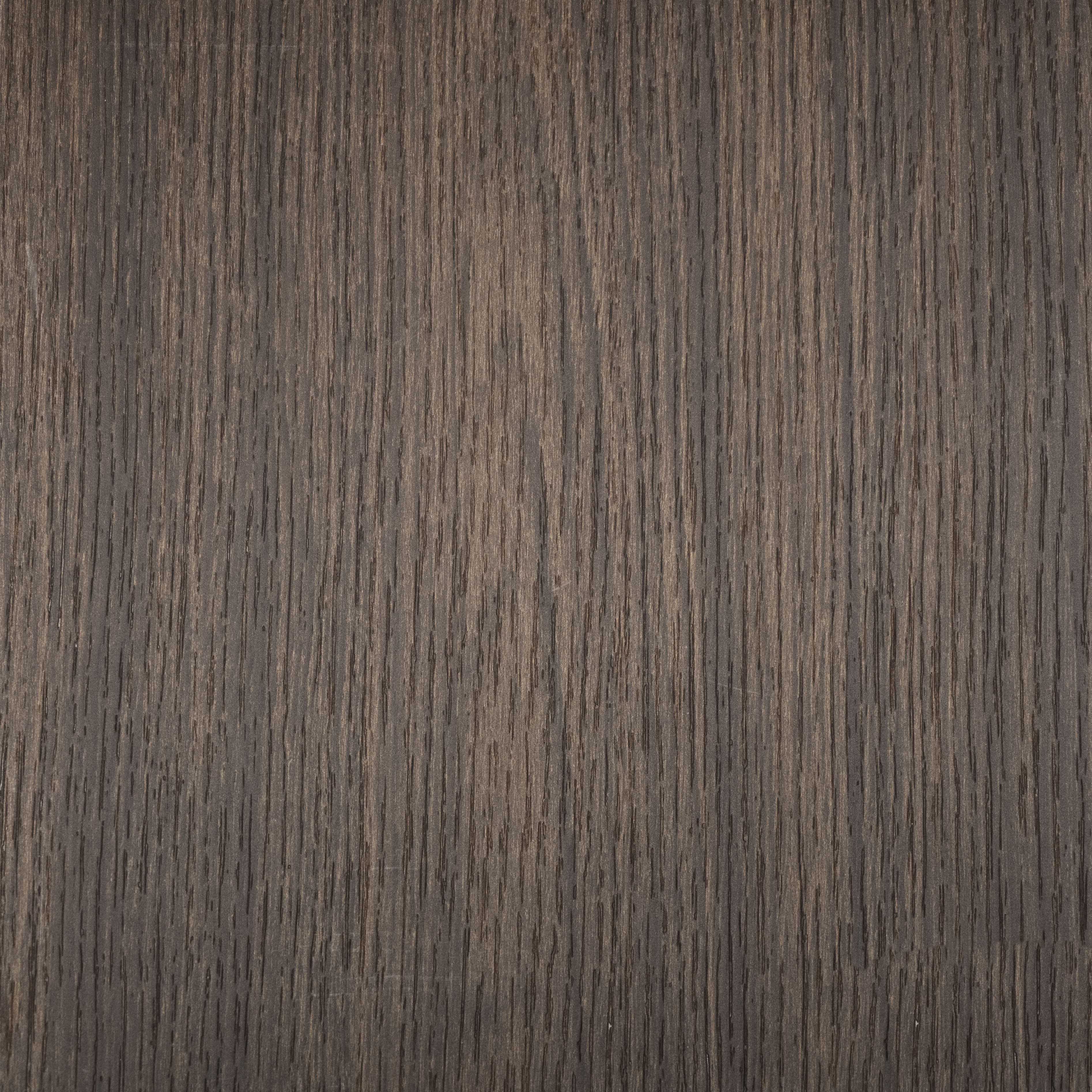 Arpa - 4643 Rovere Rubra