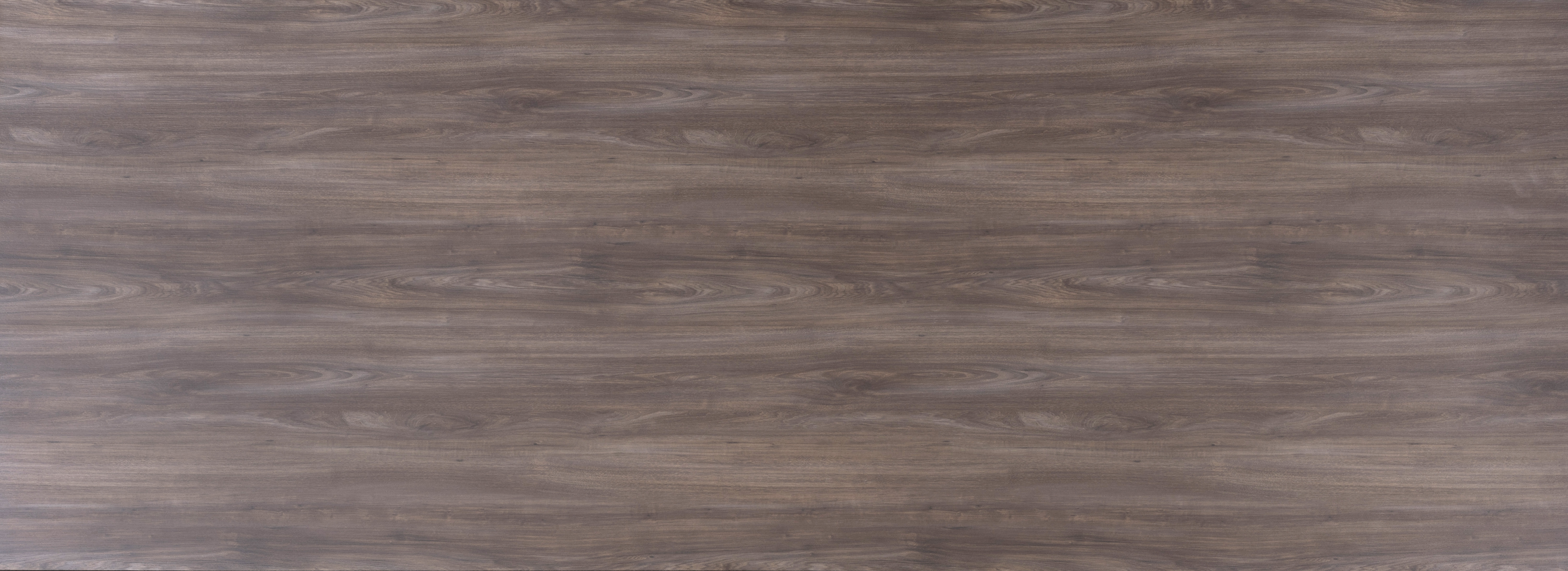 Arpa - 4616 Noce Carya Dark