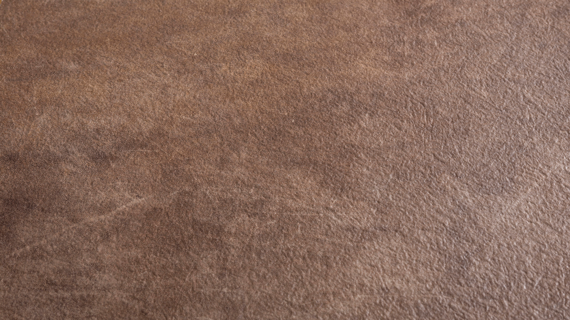 Arpa - 3383 Manaus Brown