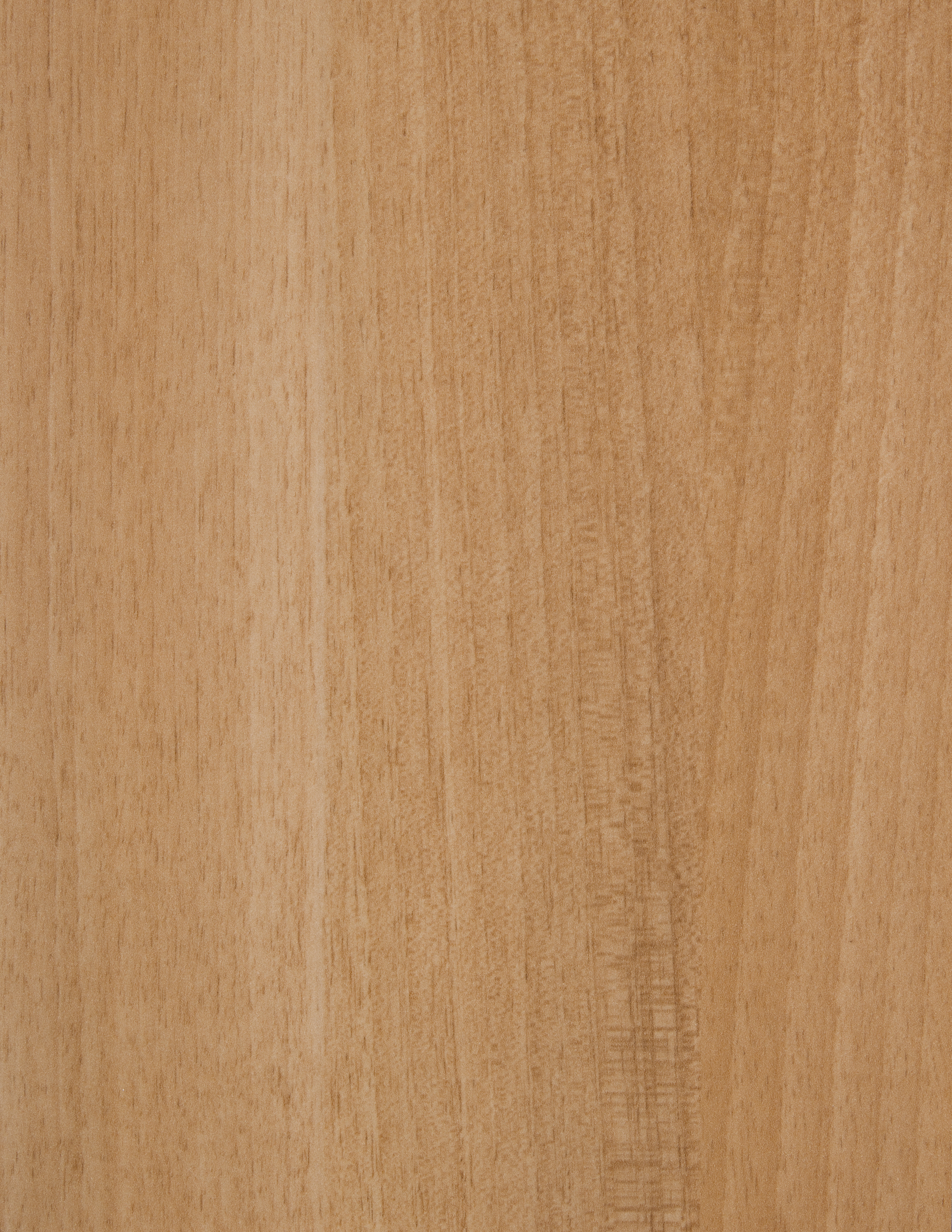 Arpa - 4325 Noce Coloniale