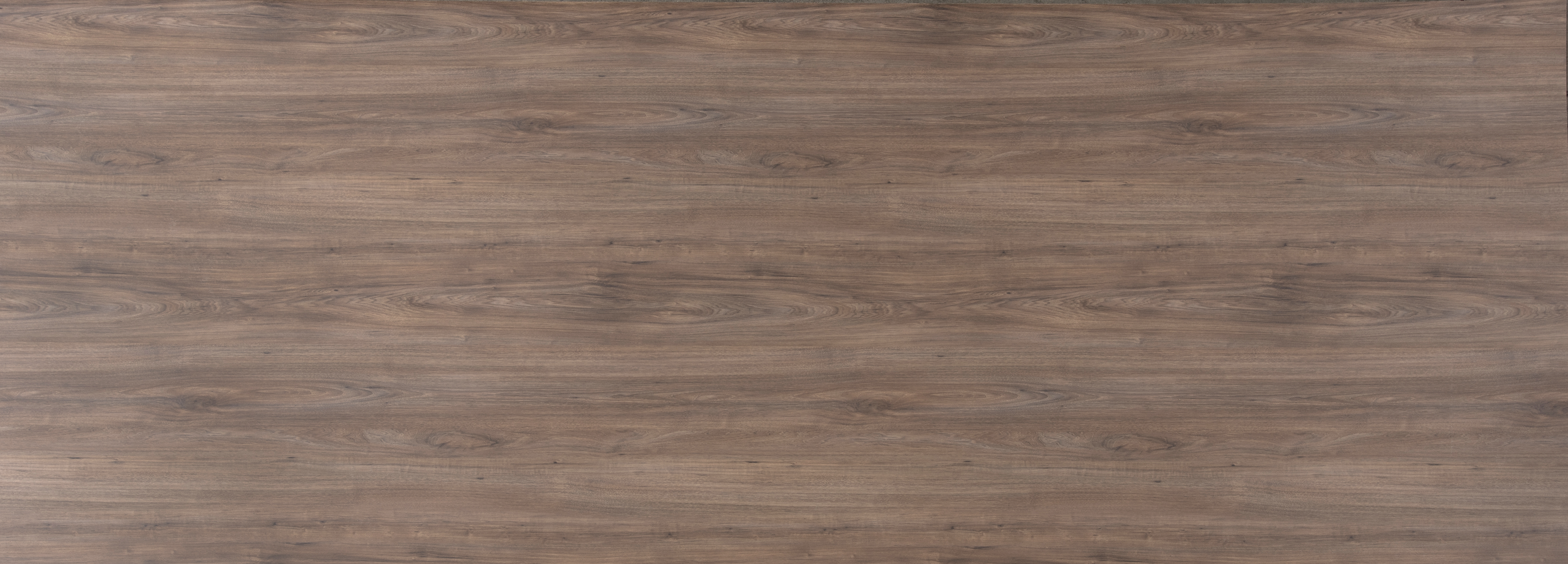 Arpa - 4617 Noce Carya Light