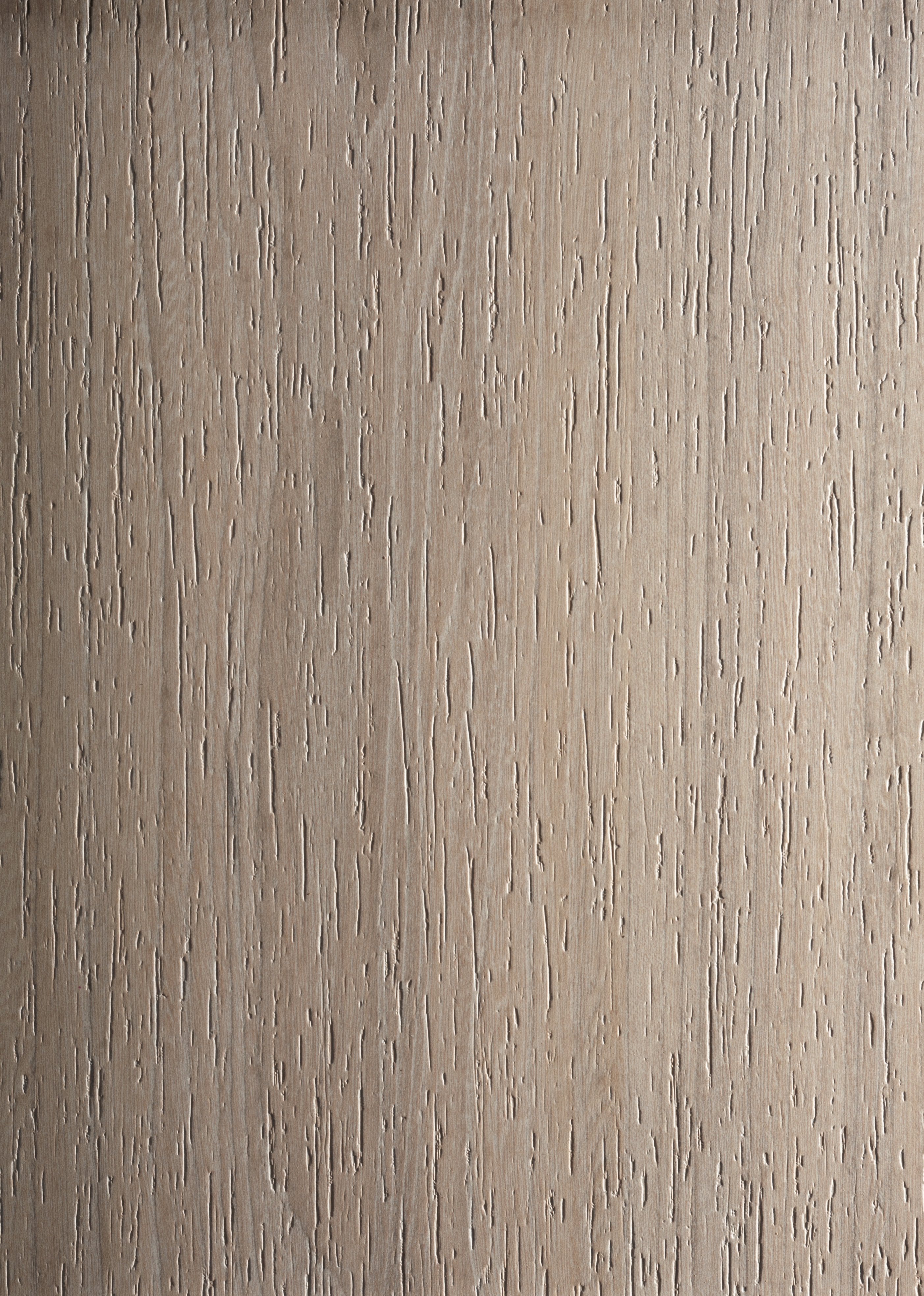 Arpa - 4538 Olmo Bianco