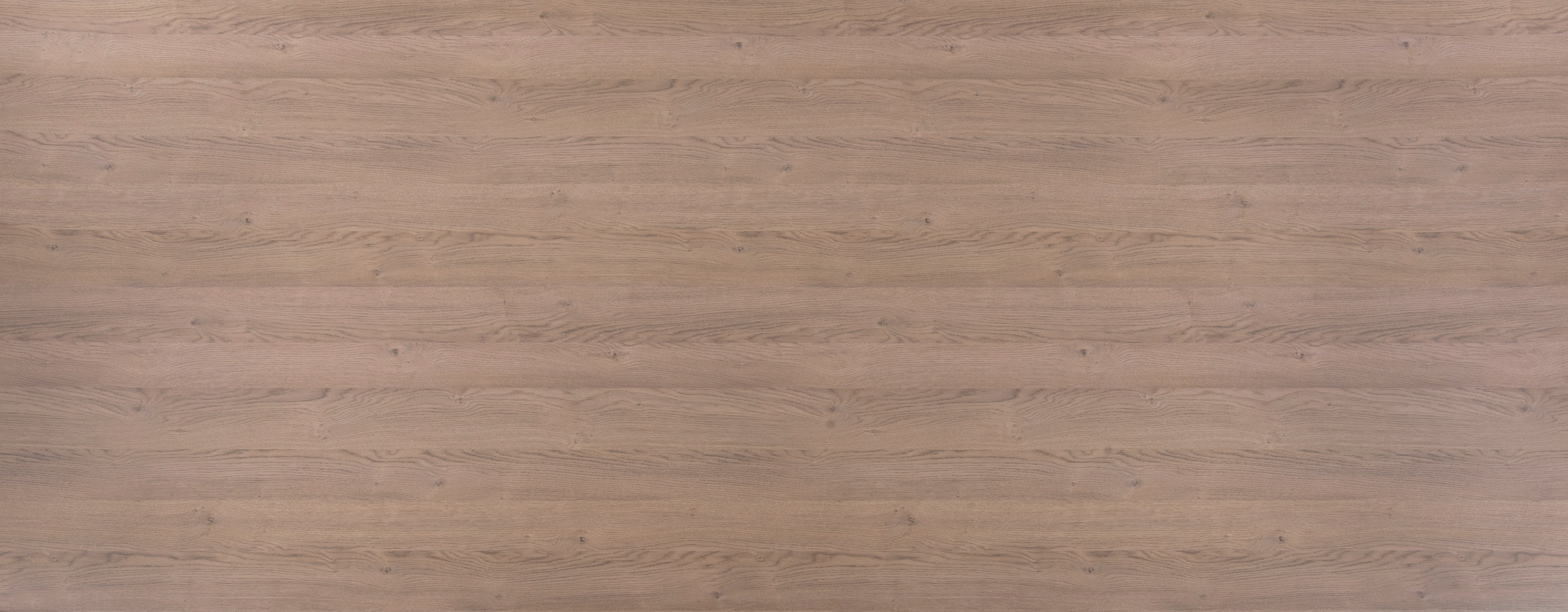 Arpa - 4627 Rovere Valdweg