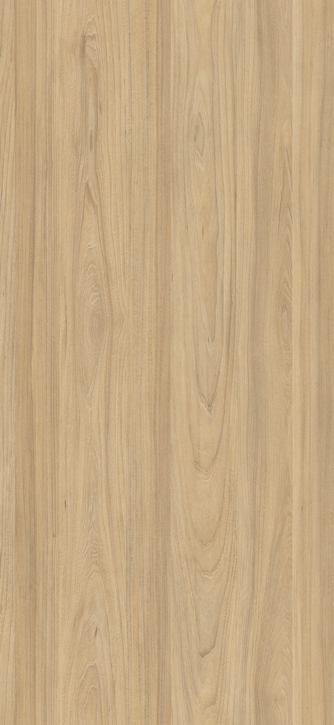 Arpa - 4539 Olmo Mercurio