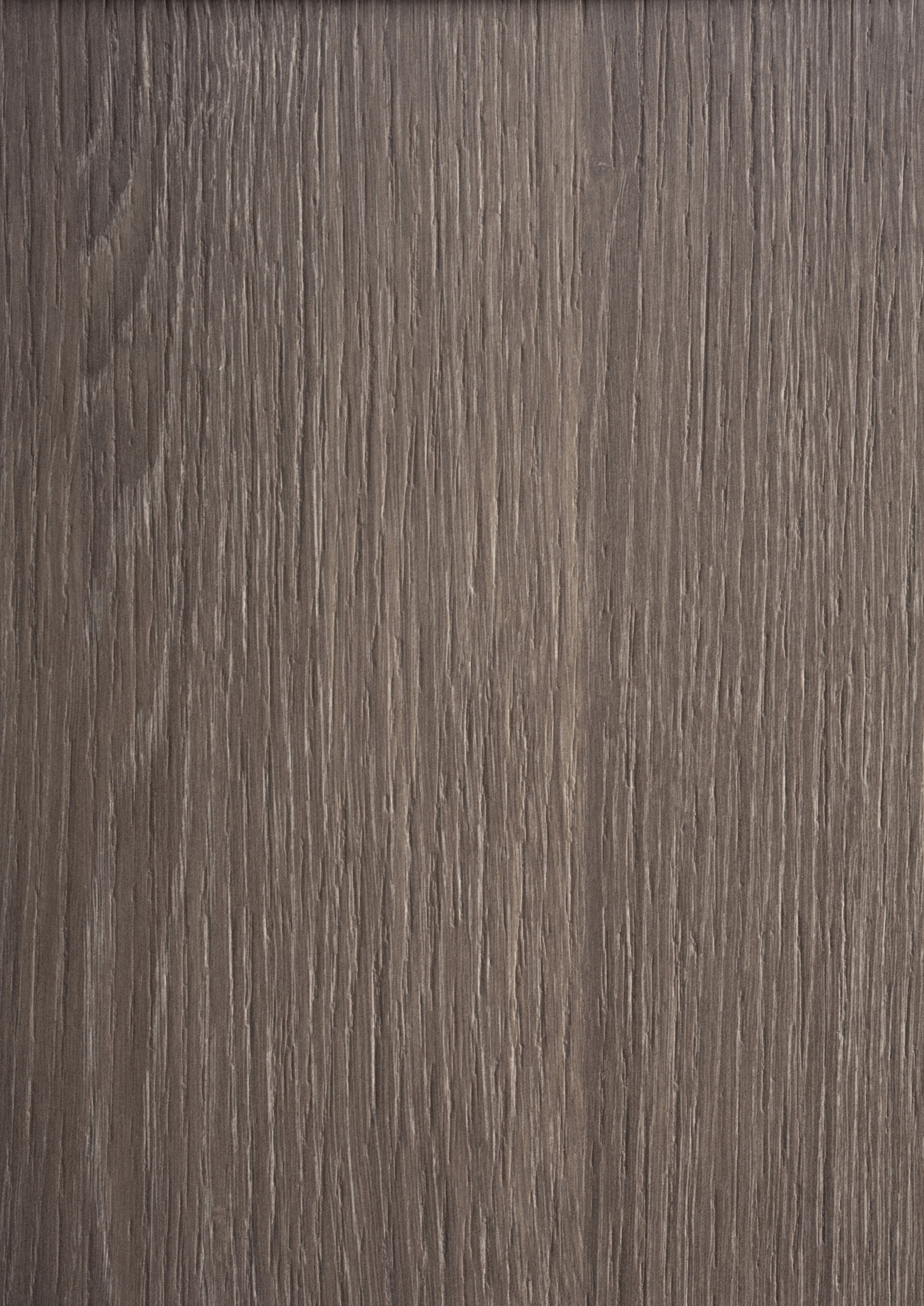 Arpa - 4526 Rovere Visone