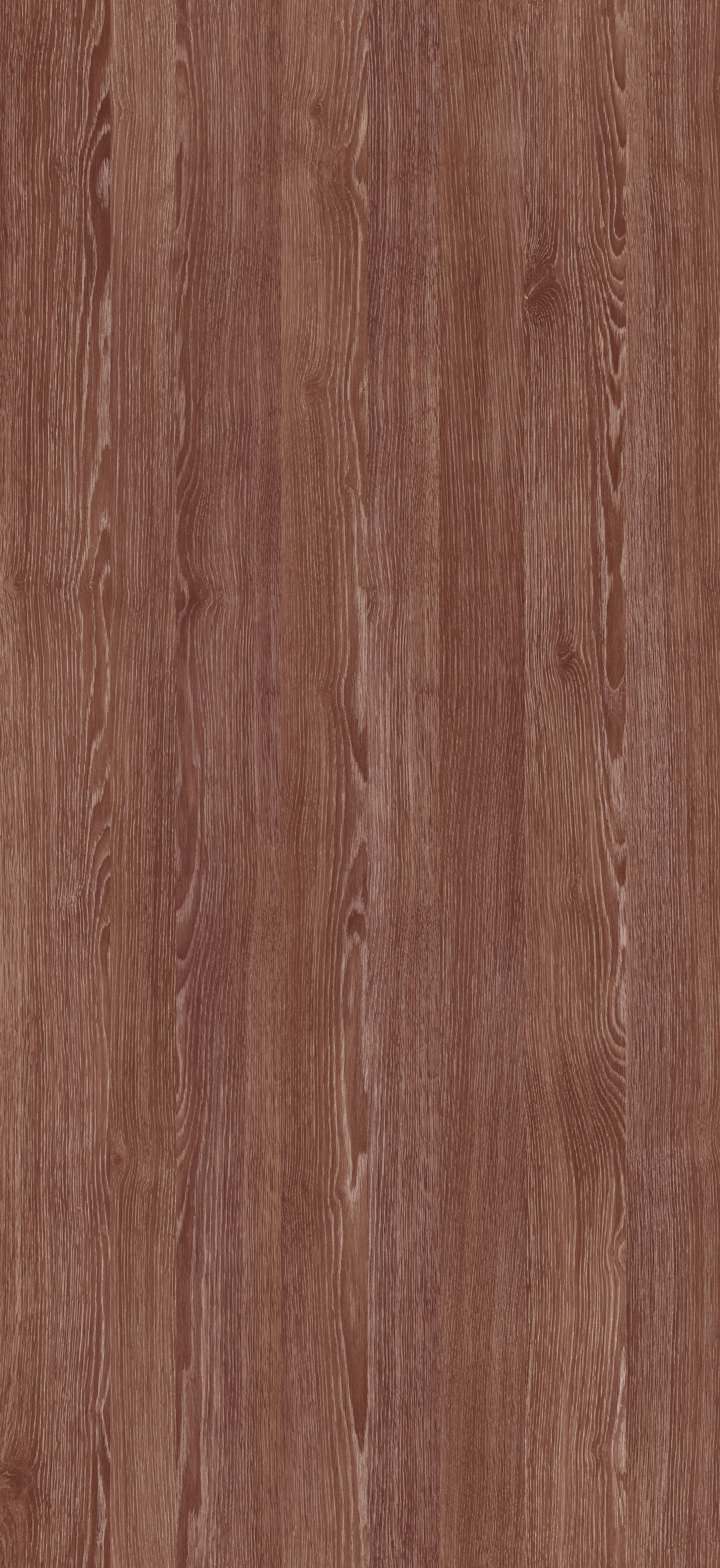 Arpa - 4526 Rovere Visone