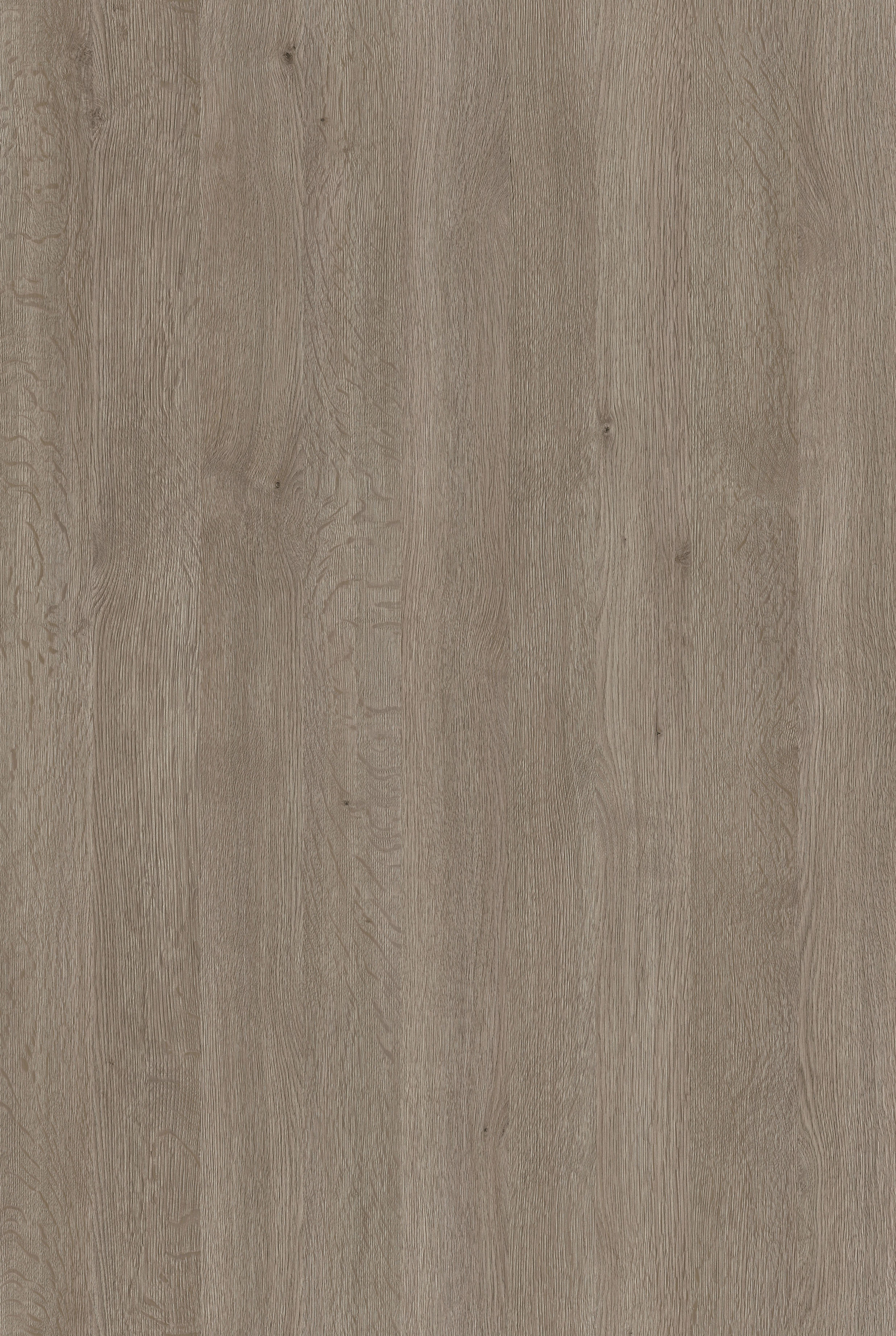 Arpa - 4516 Rovere Asburgo Scuro