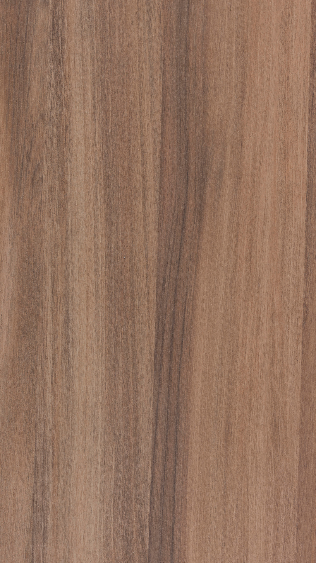 Arpa - 4625 Noce Sinfonia