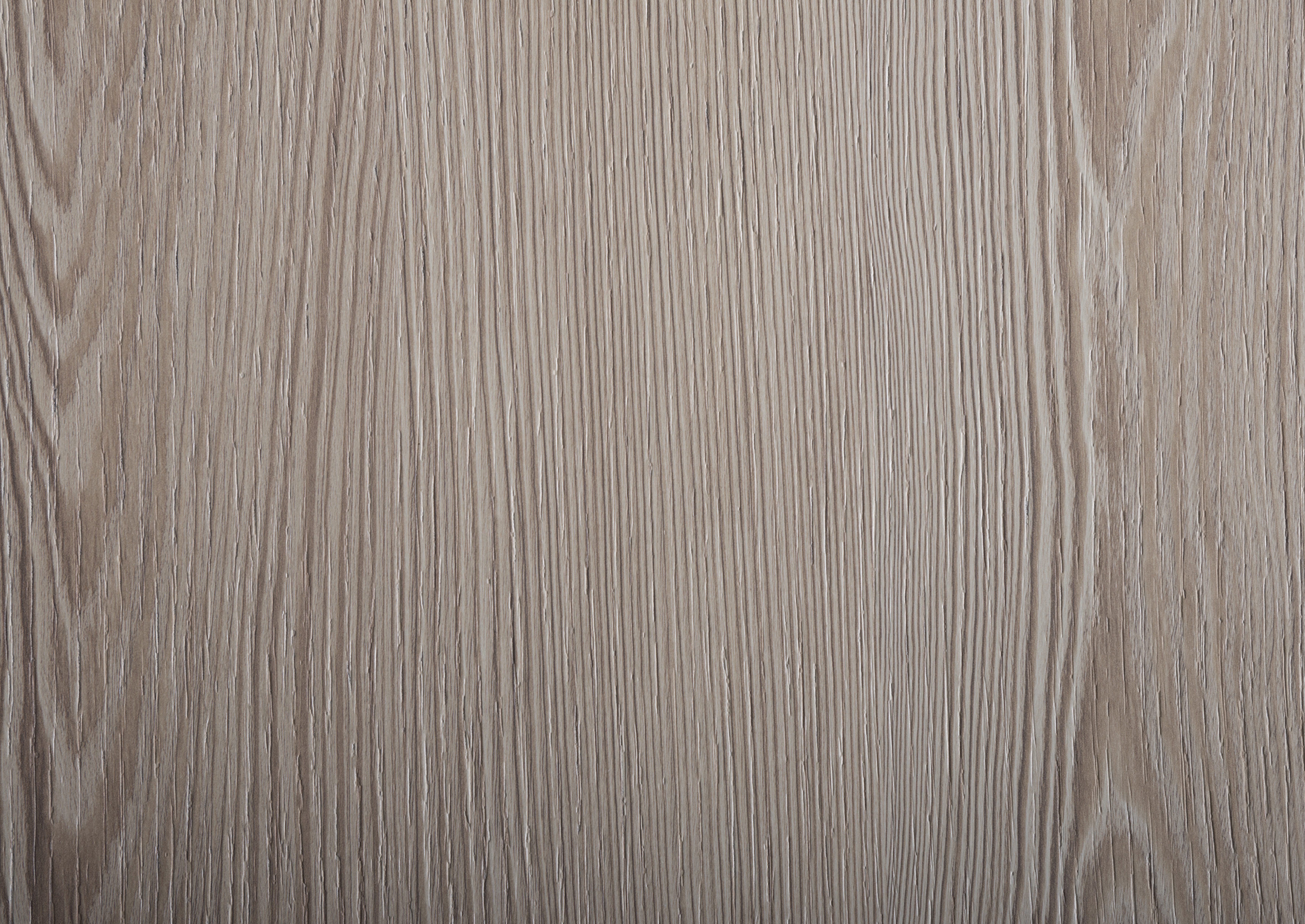Arpa - 4572 Larix Amur