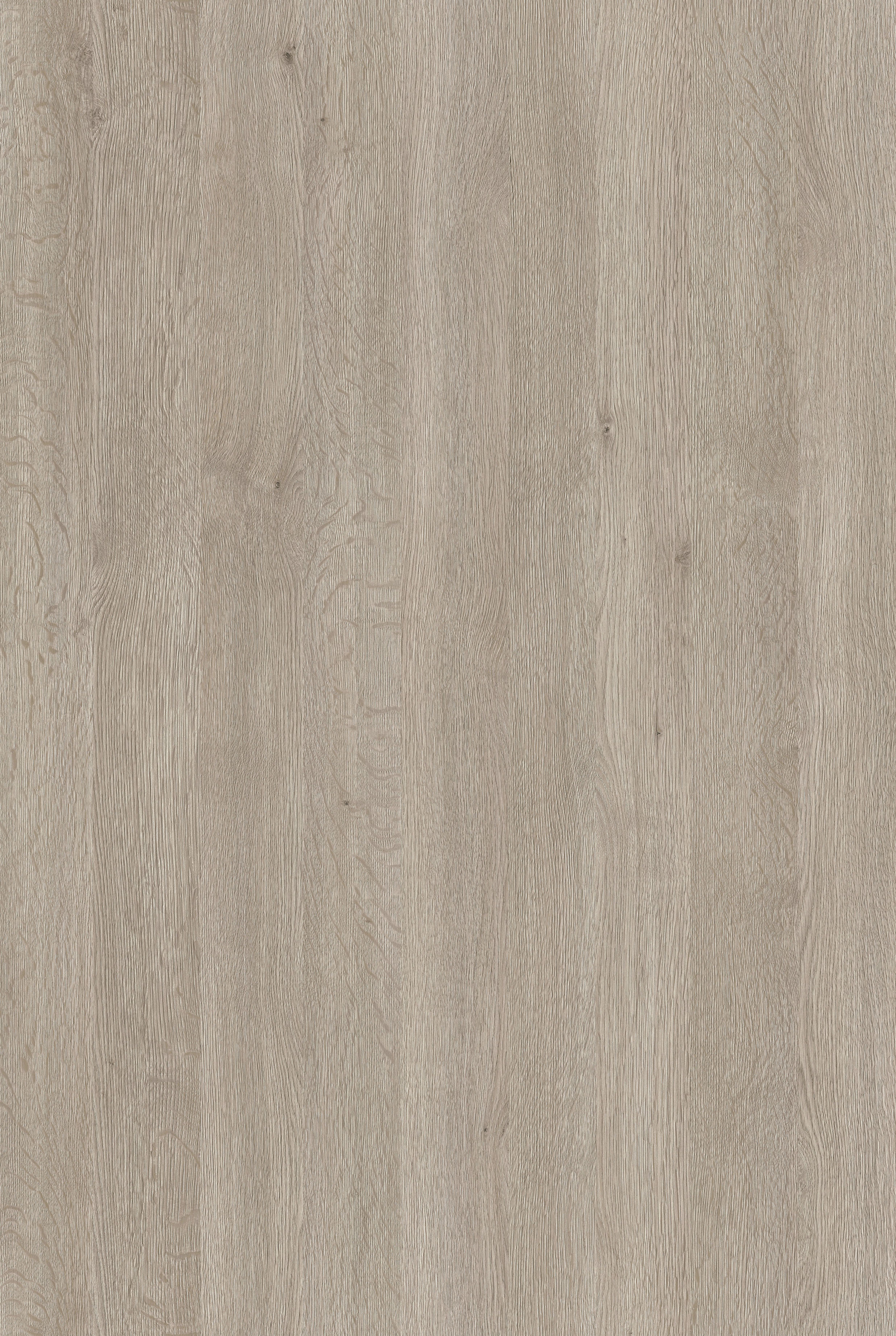 Arpa - 4519 Rovere Asburgo