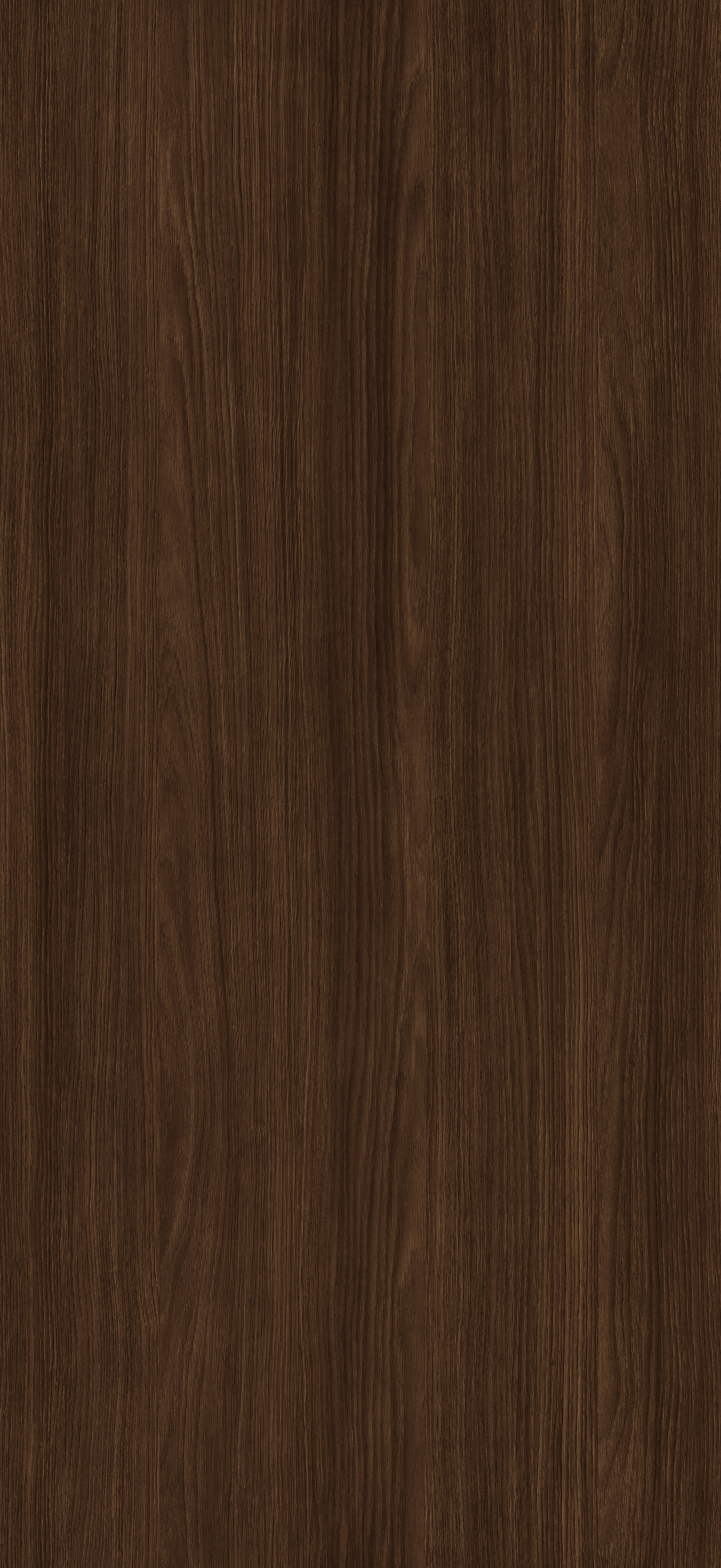 Arpa - 4643 Rovere Rubra