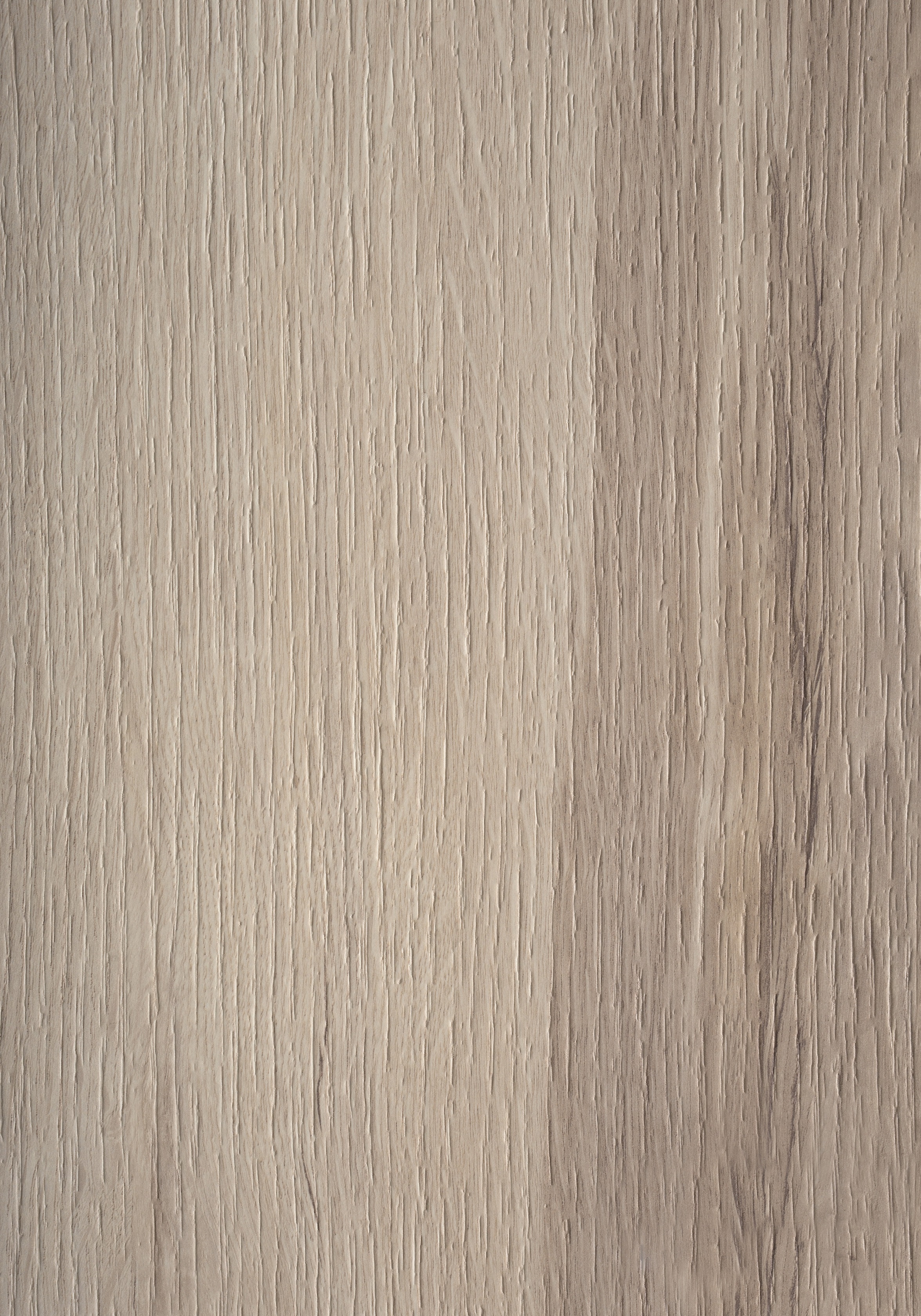 Arpa - 4584 Rovere Wafer
