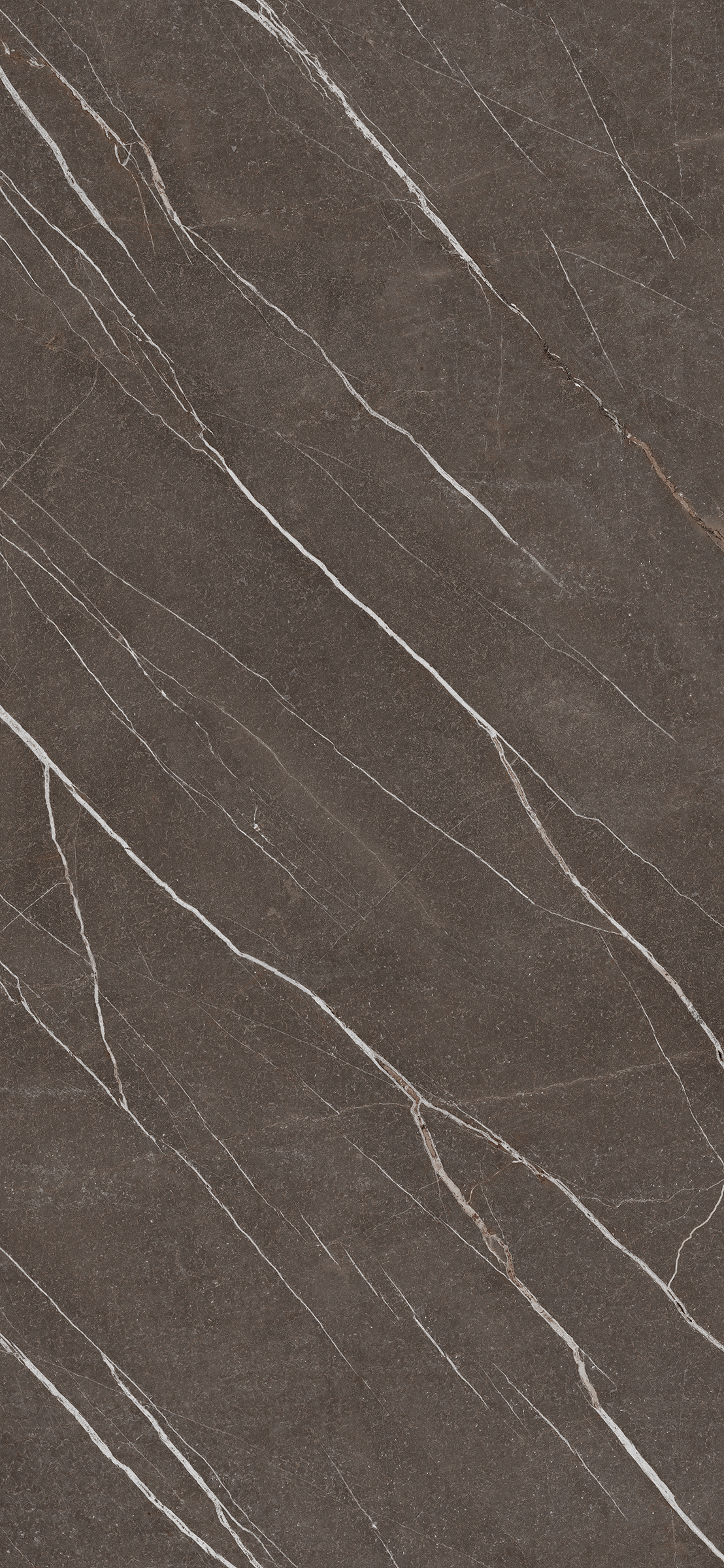 Arpa - 3446 Pulpis Dark
