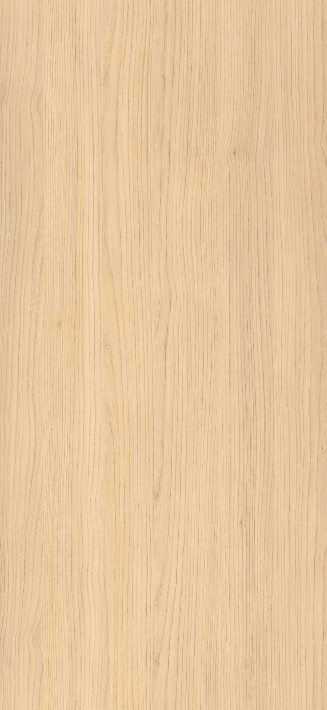 Arpa - 4529 Olmo Naturale