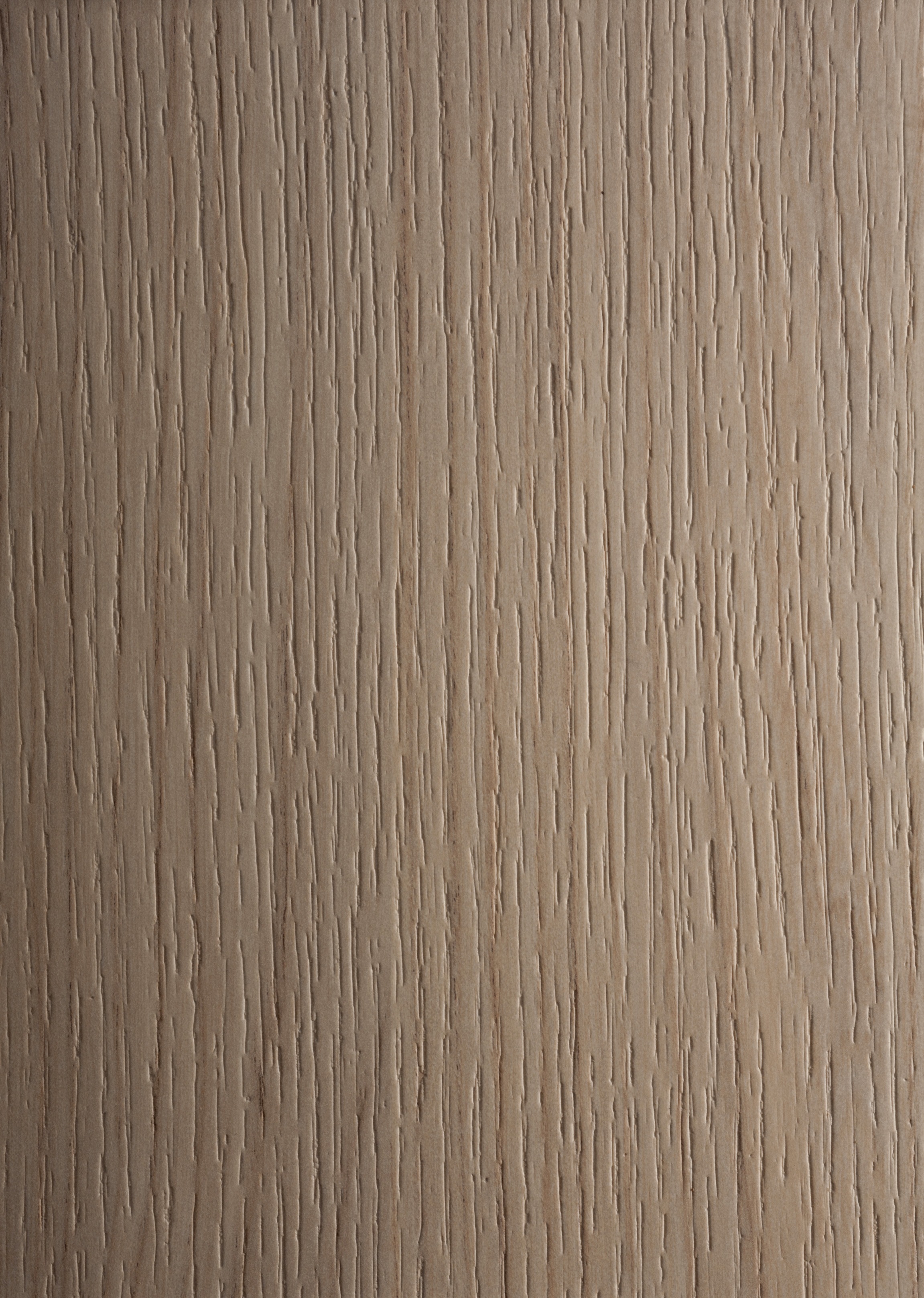 Arpa - 4529 Olmo Naturale
