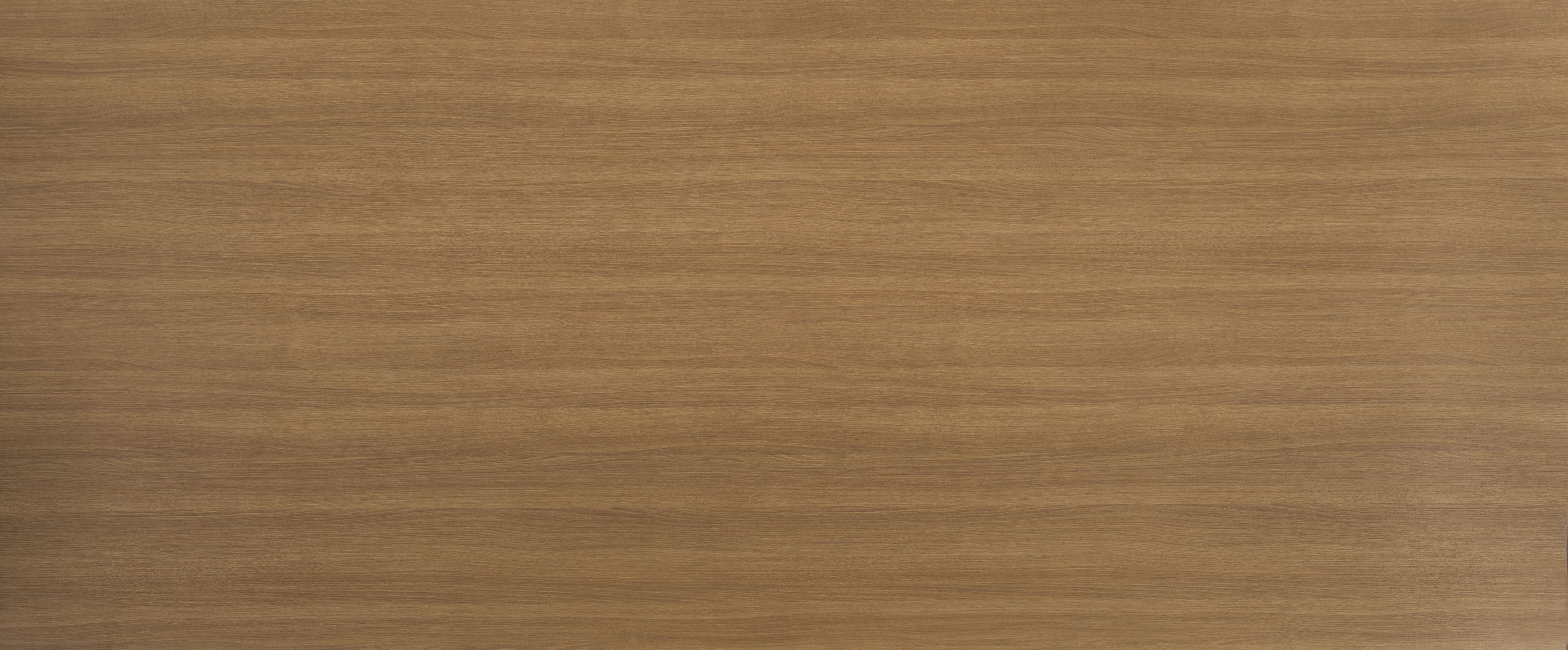 Arpa - 4655 Musinè Miele