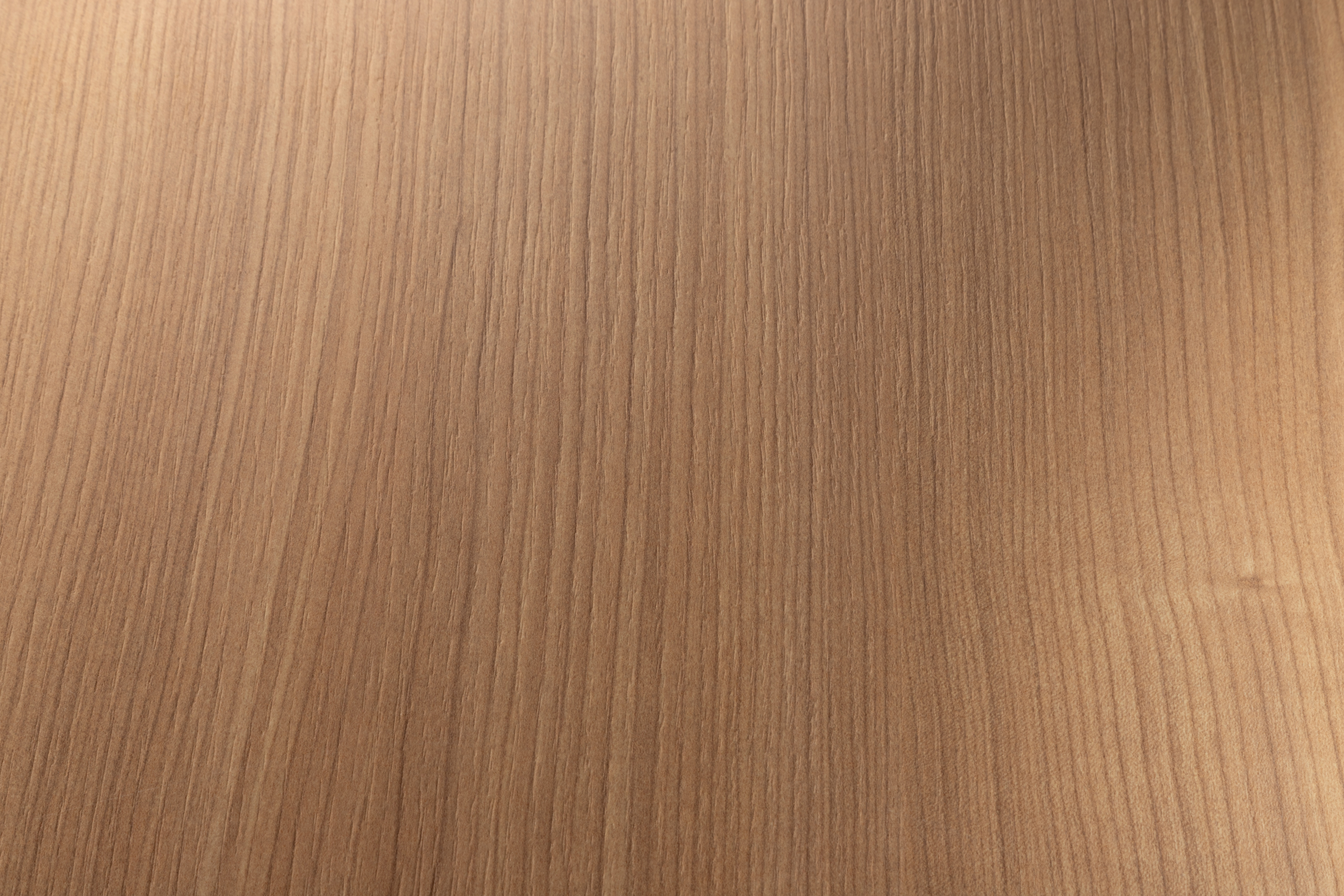 4649 Ciliegio Bulot
