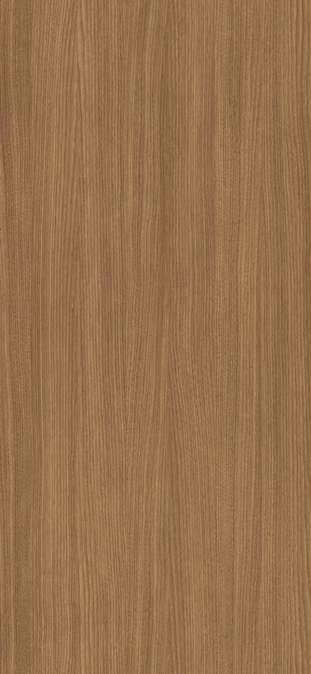 Arpa - 4537 Canaletto Naturale