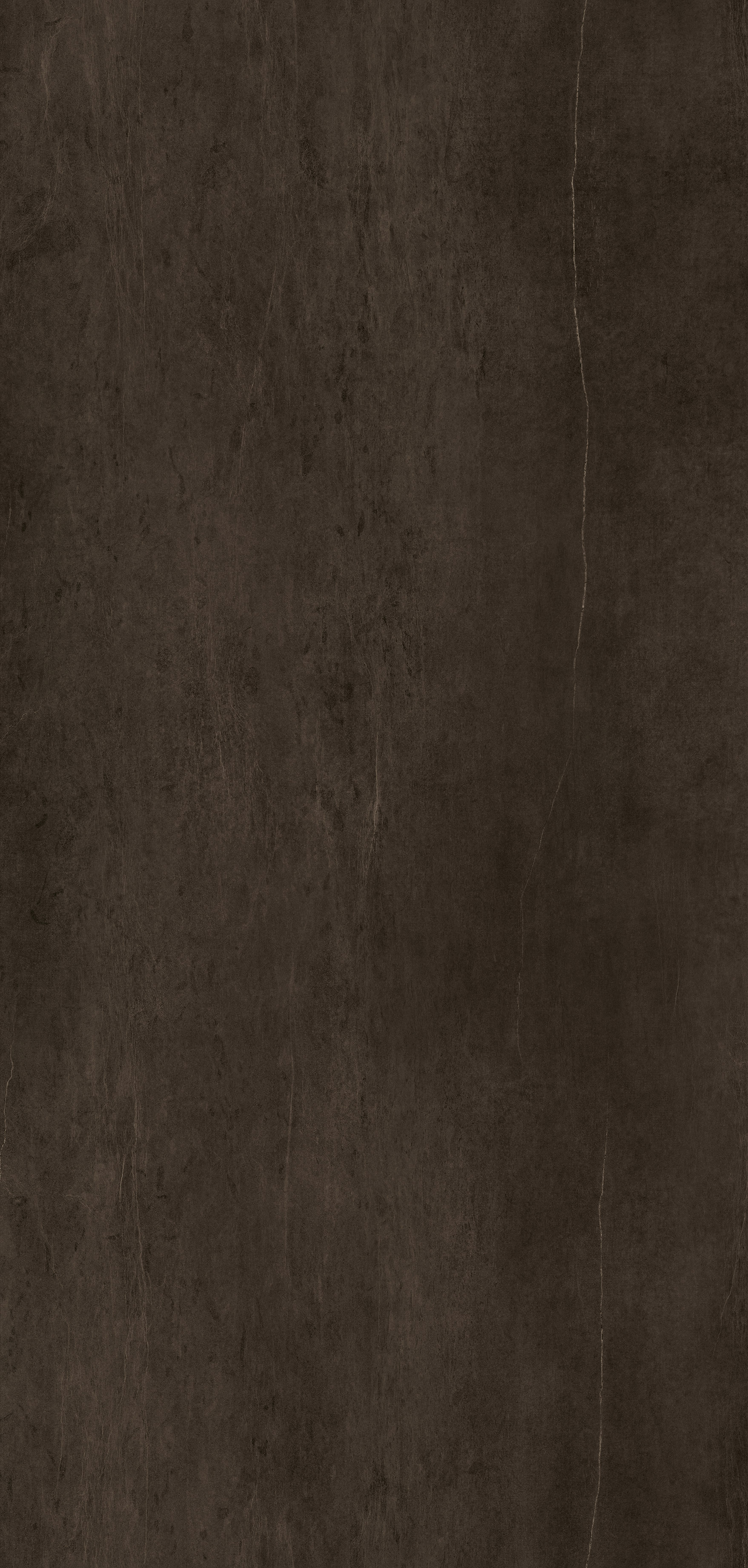 Arpa - 3551 Nereide