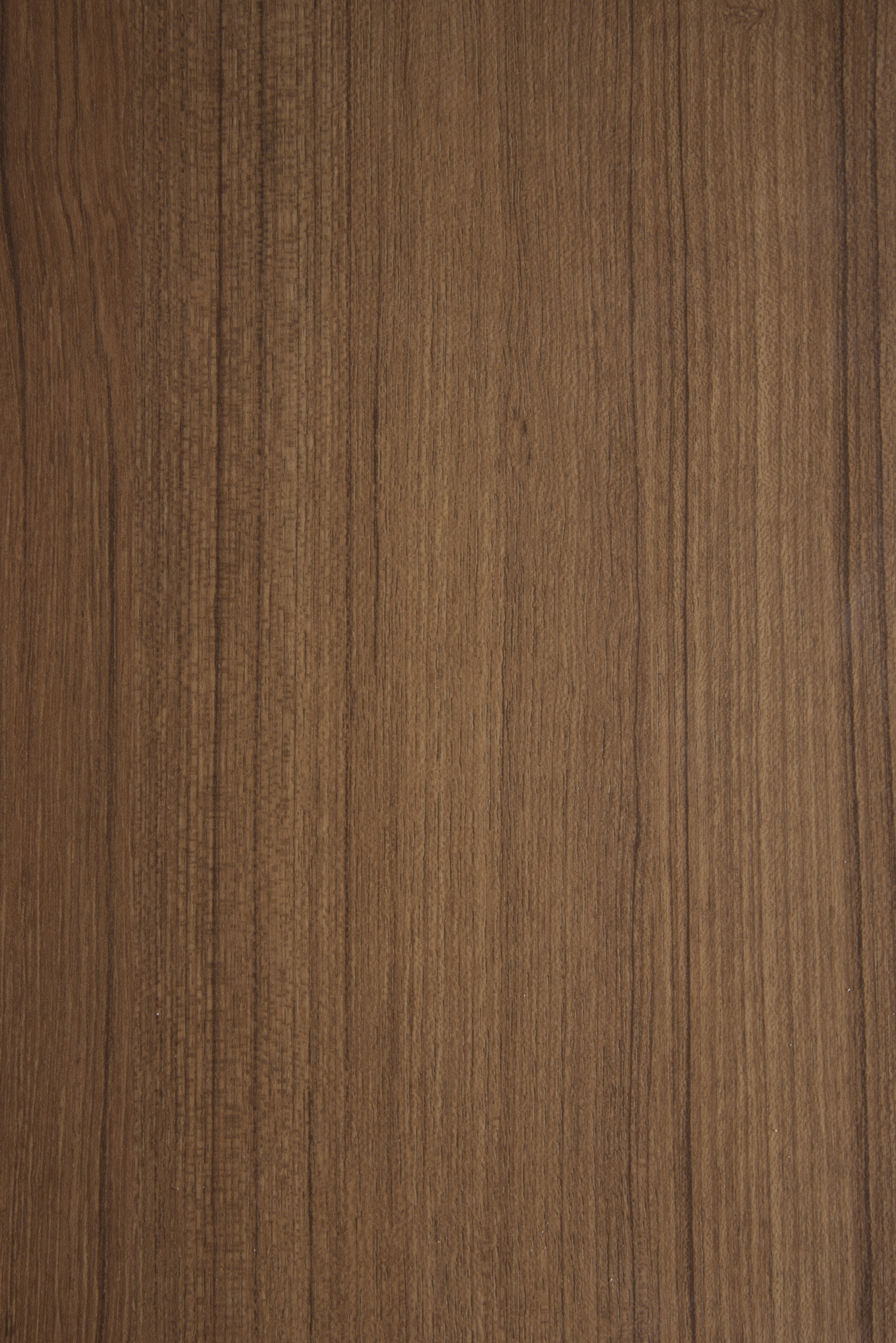 Arpa - 4445 Lamphun Teak