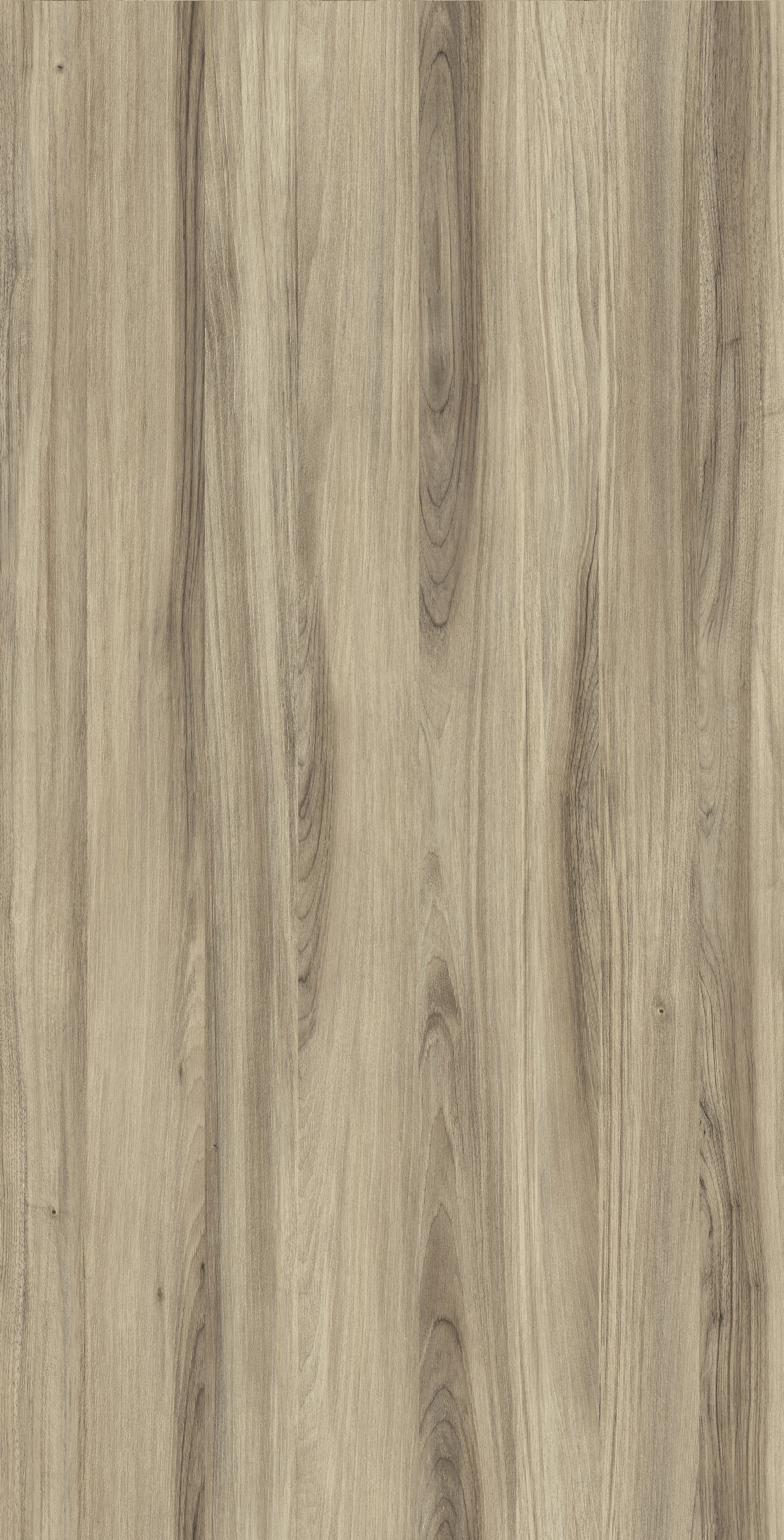 Arpa - 4631 Tages