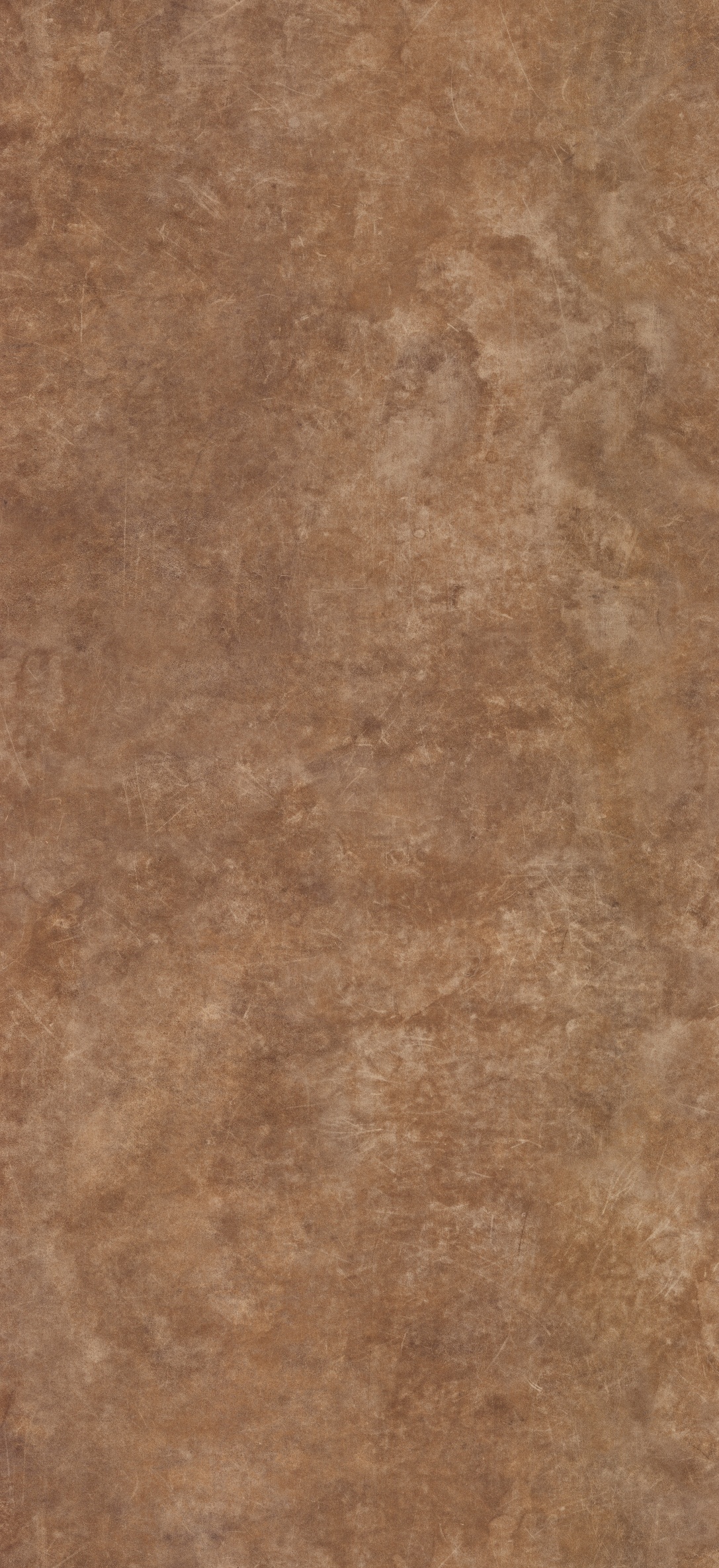 Arpa - 3383 Manaus Brown
