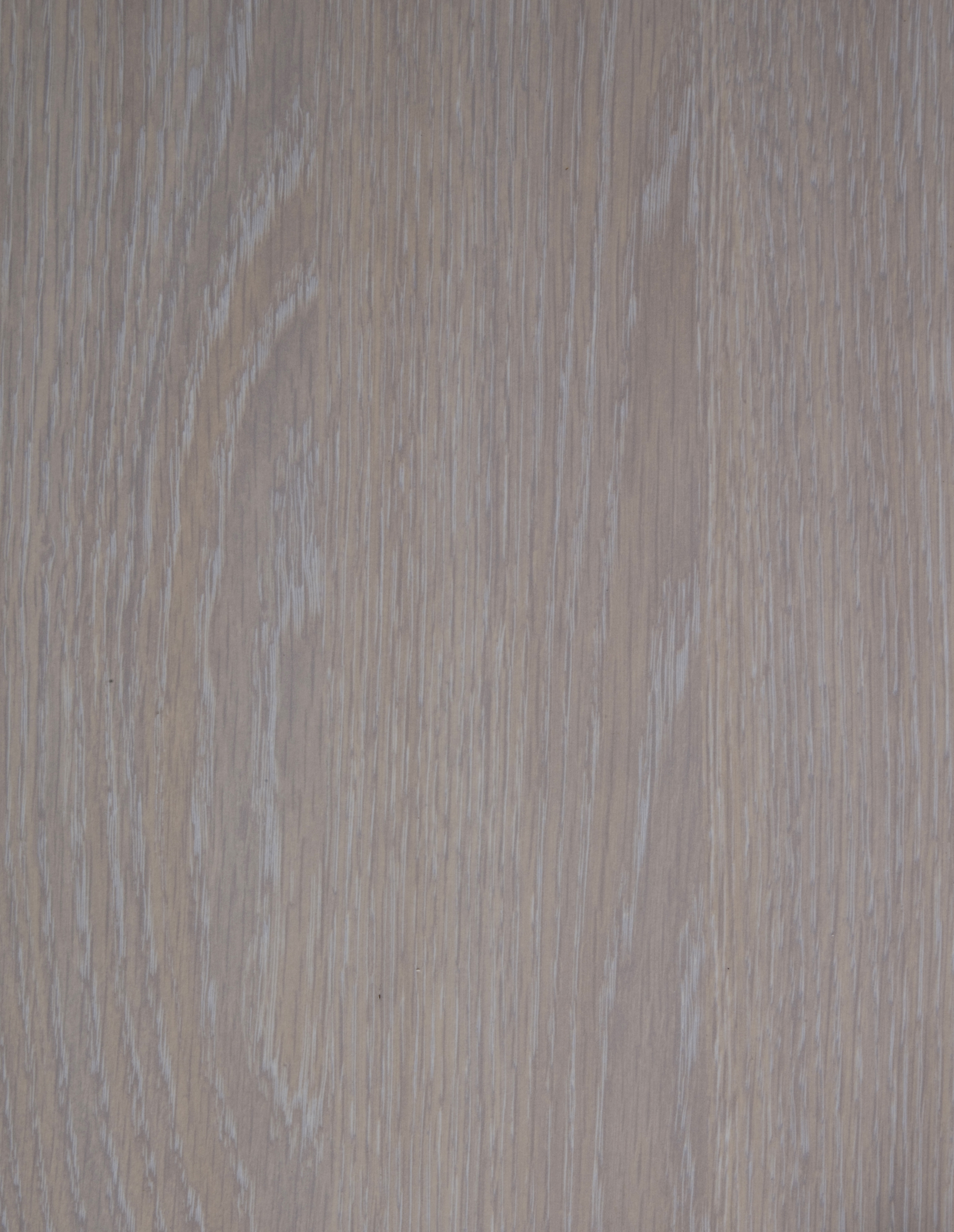 Arpa - 4071 Rovere Calcinato Beige