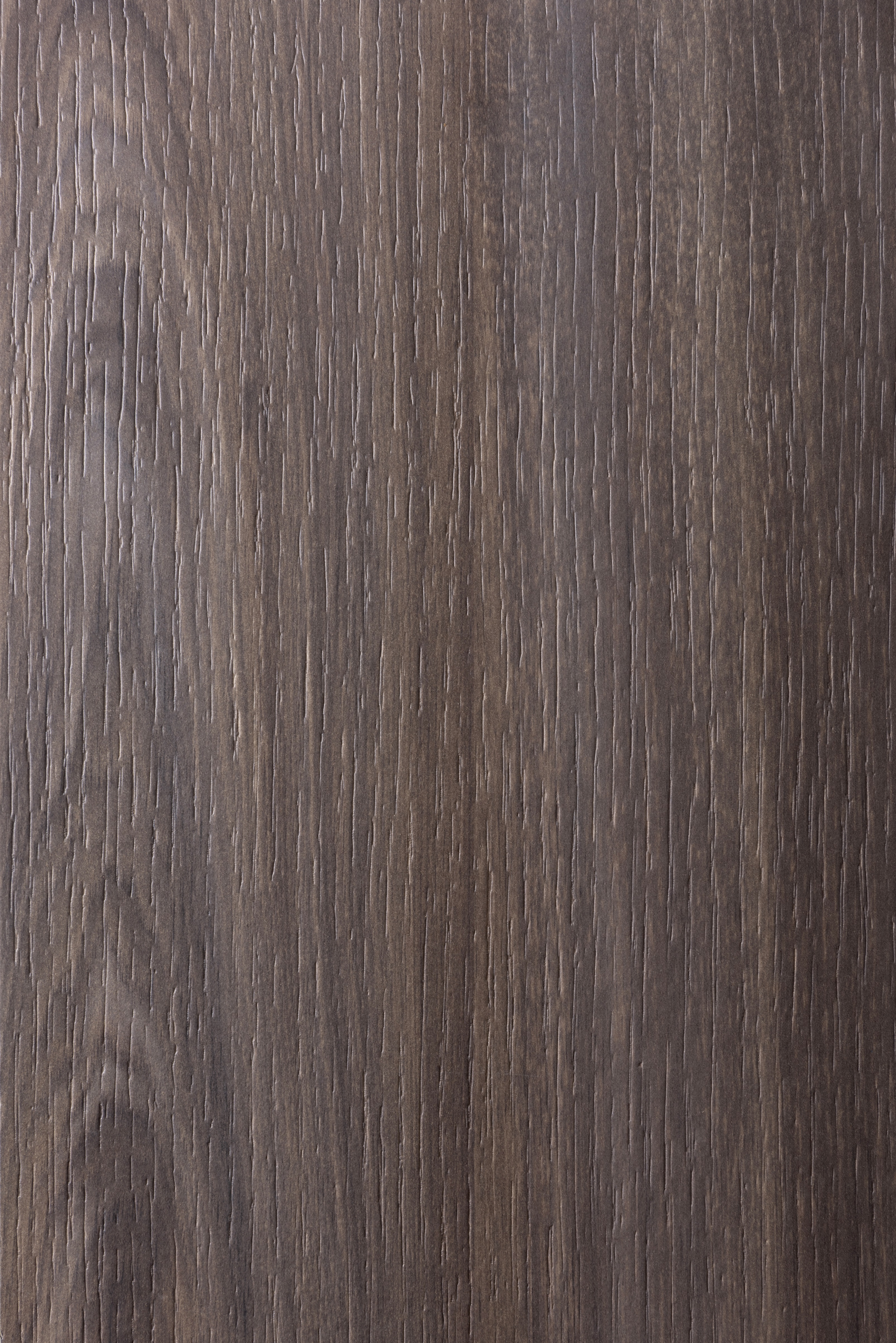Arpa - 4616 Noce Carya Dark