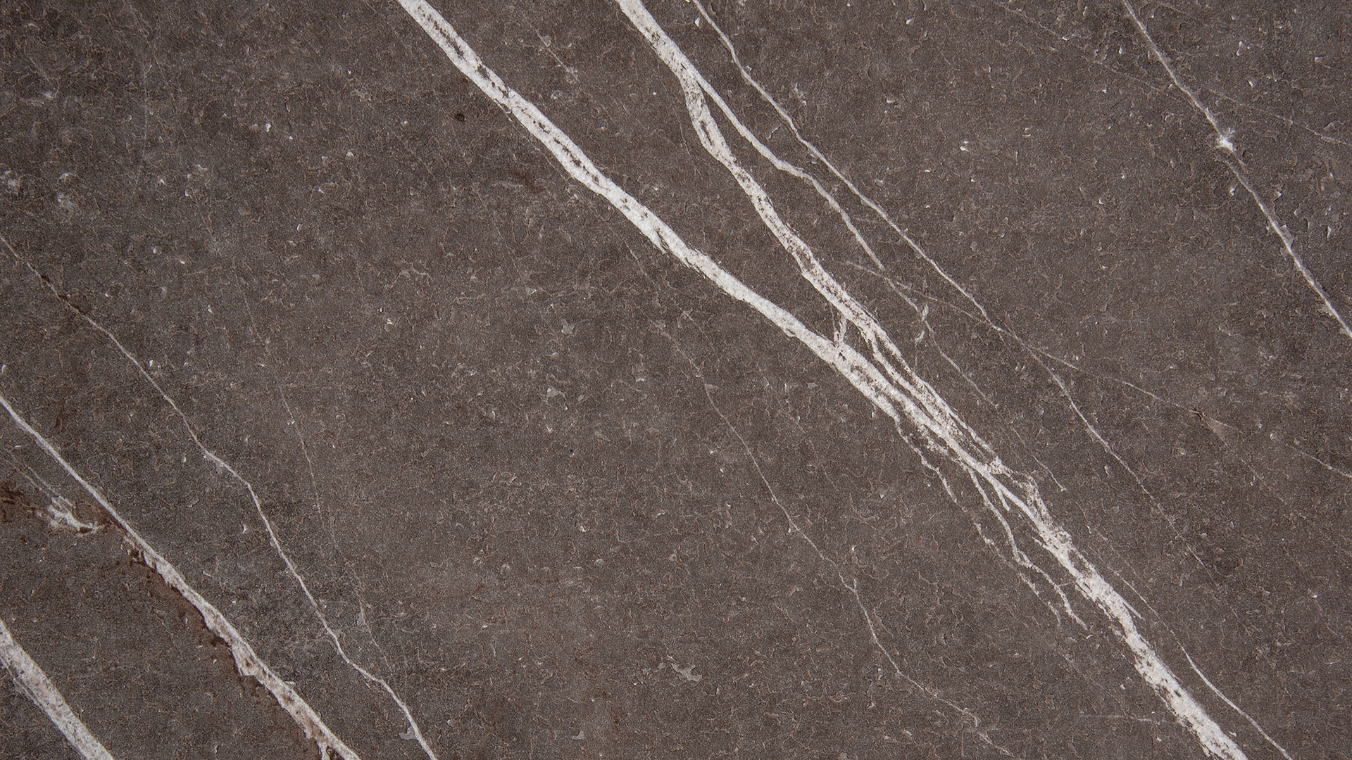 Arpa - 3445 Pulpis Grey