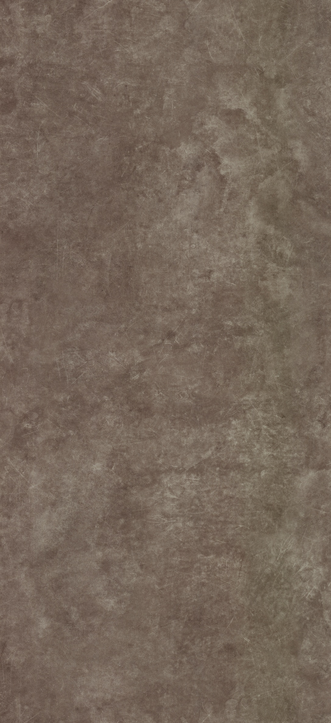 Arpa - 3381 Manaus Gray