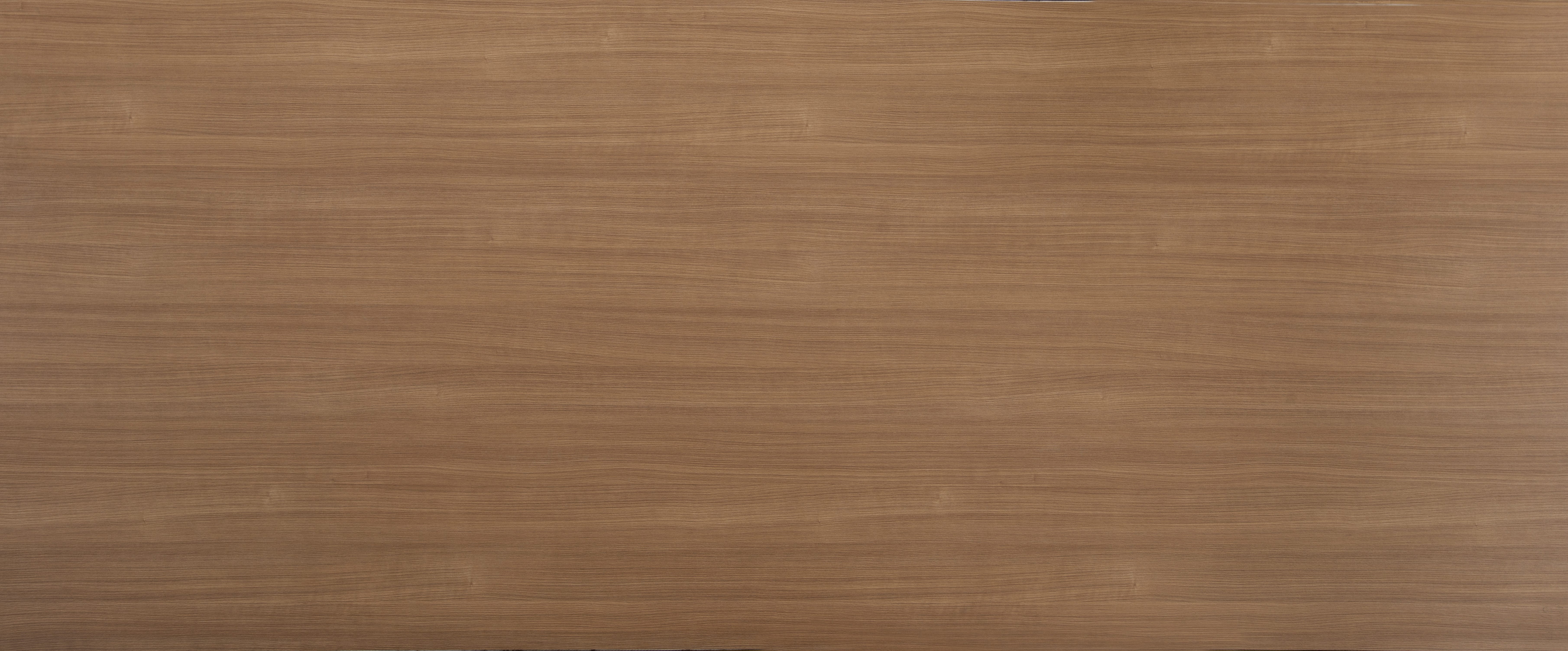 Arpa - 4649 Ciliegio Bulot