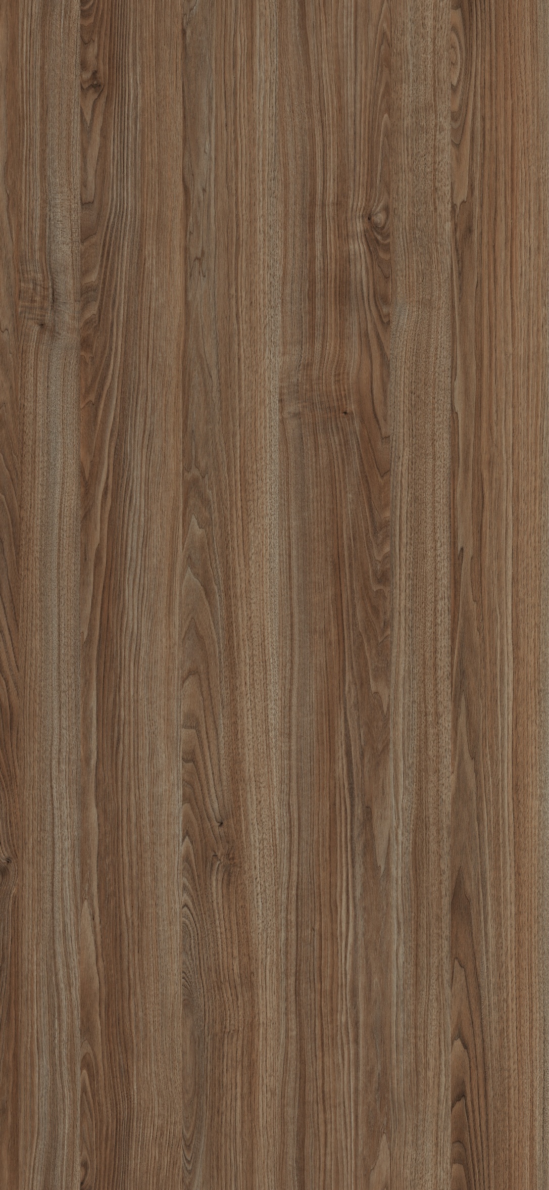 Arpa - 4604 Noce Savoia