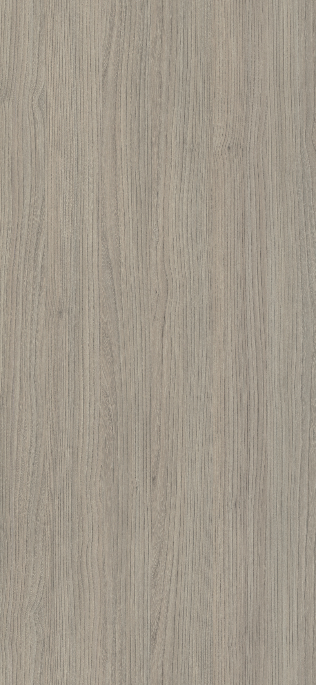 Arpa - 4528 Olmo Grigio