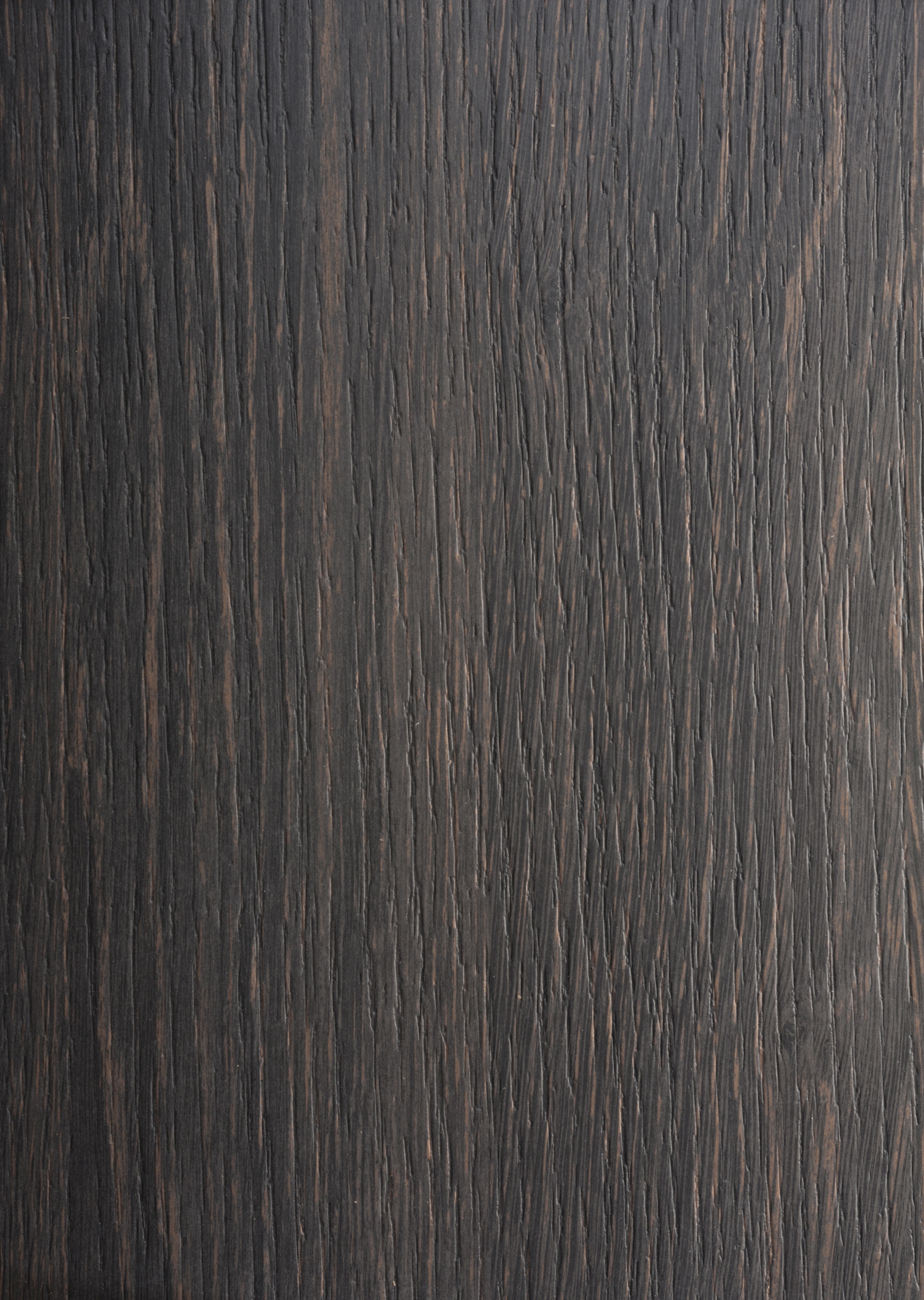 Arpa - 4536 Wengè Gold