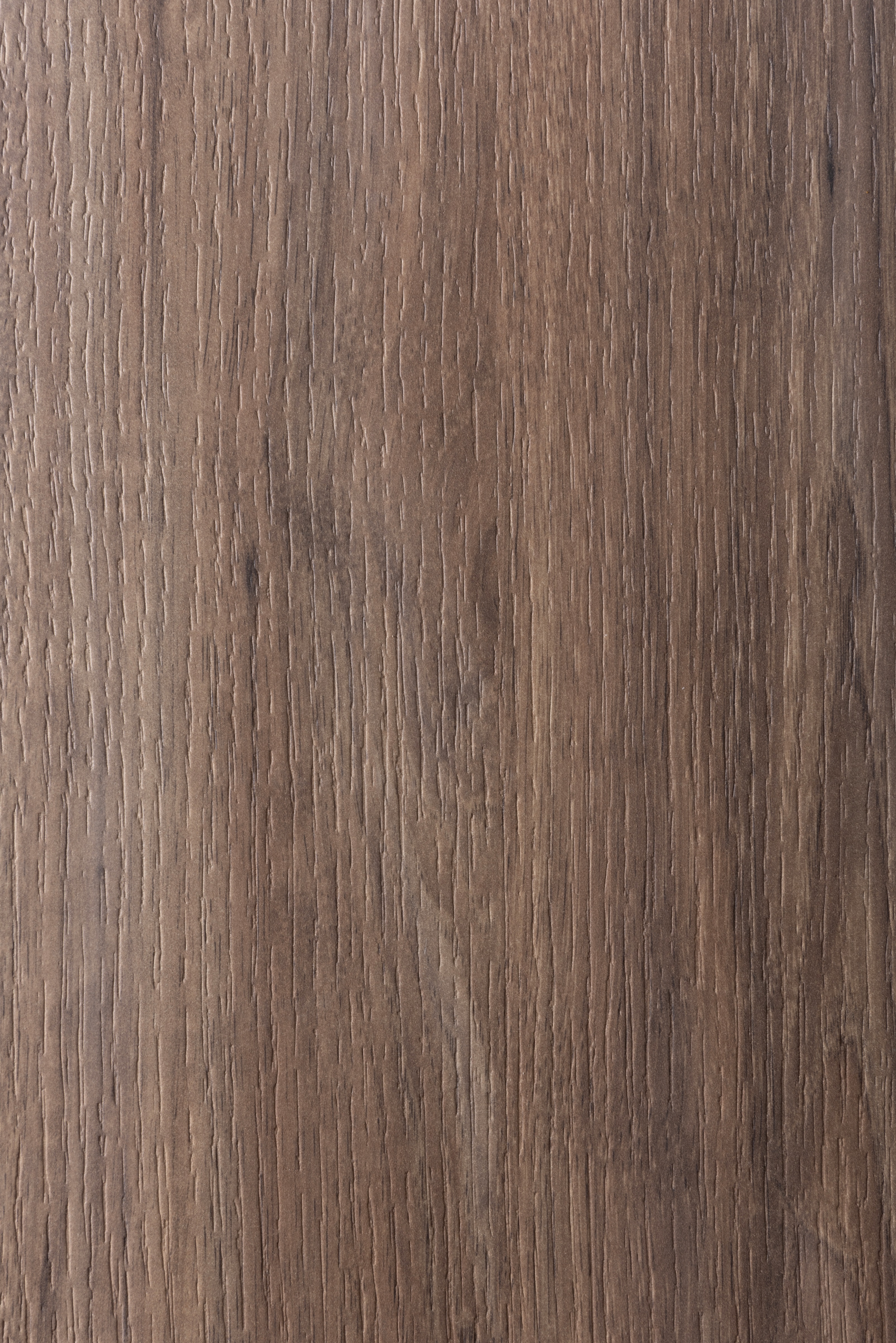 Arpa - 4617 Noce Carya Light