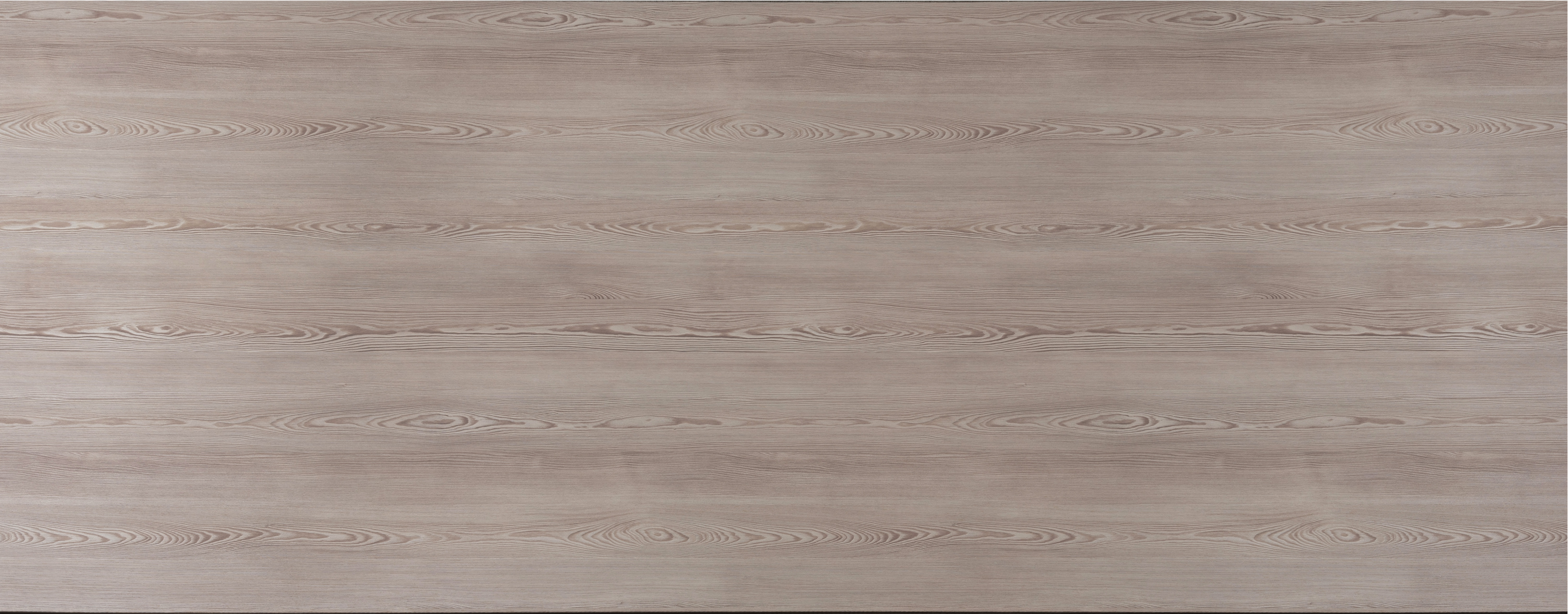 Arpa - 4572 Larix Amur