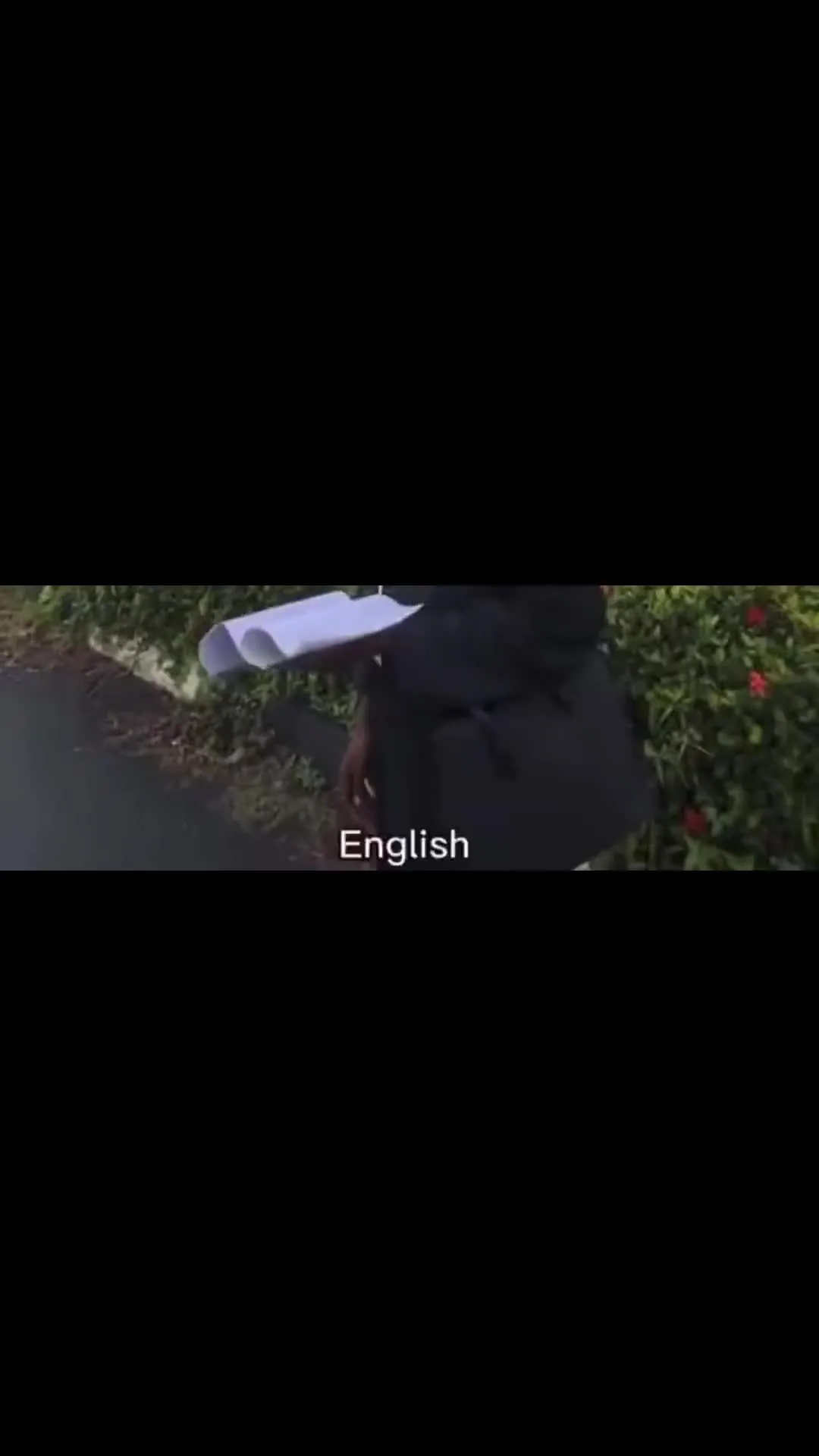 Layiwasabi English You're Speaking Meme