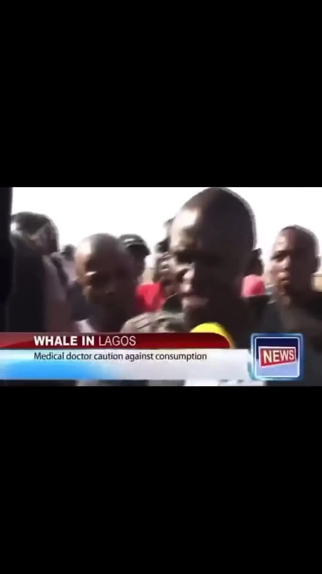 Whale in Lagos Medical Doctor Defends Consumption