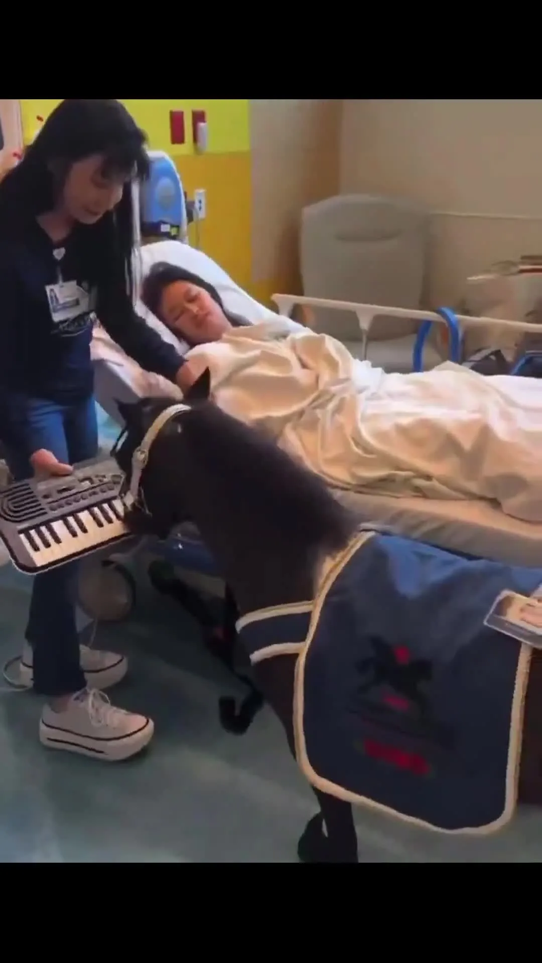 Horse Playing Piano