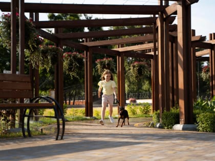 Пергола и материалы для её создания: что выбрать для стиля и долговечности