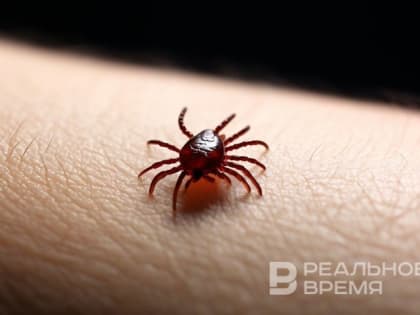 Около 15 тыс. татарстанцев привьют от клещевого энцефалита в 2025 году