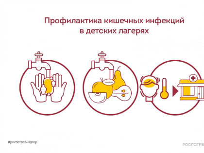 Профилактика острых кишечных инфекций и пищевых отравлений в детских лагерях