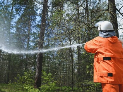 Шашлык на фоне полыхающего леса: почему горит Татарстан