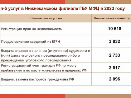 Нижнекамцам рассказали о самых популярных услугах в МФЦ