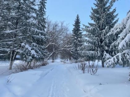 В Бугульме сегодня сильный ветер и небольшой мороз