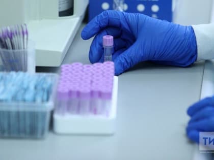 В РТ в снятых с людей клещах возбудителя вирусного энцефалита не выявлено