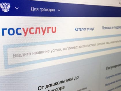 Минлесхоз РТ напоминает о правилах подачи лесных деклараций