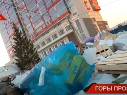 Горы проблем: число жалоб на невывоз мусора с начала года в Татарстане выросло на 550%